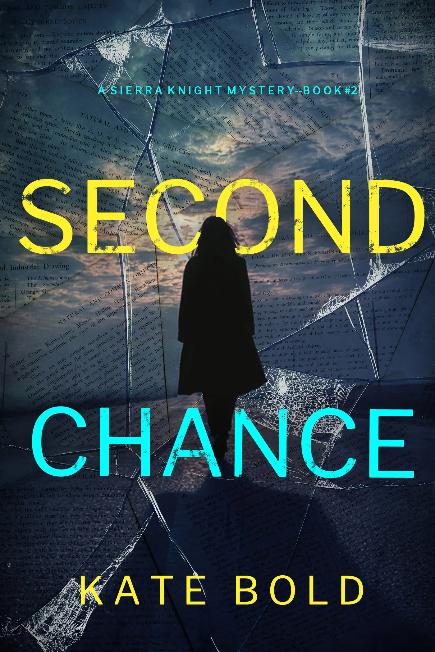 Second Chance (A Sierra Knight FBI Suspense Thriller—Book Two)
