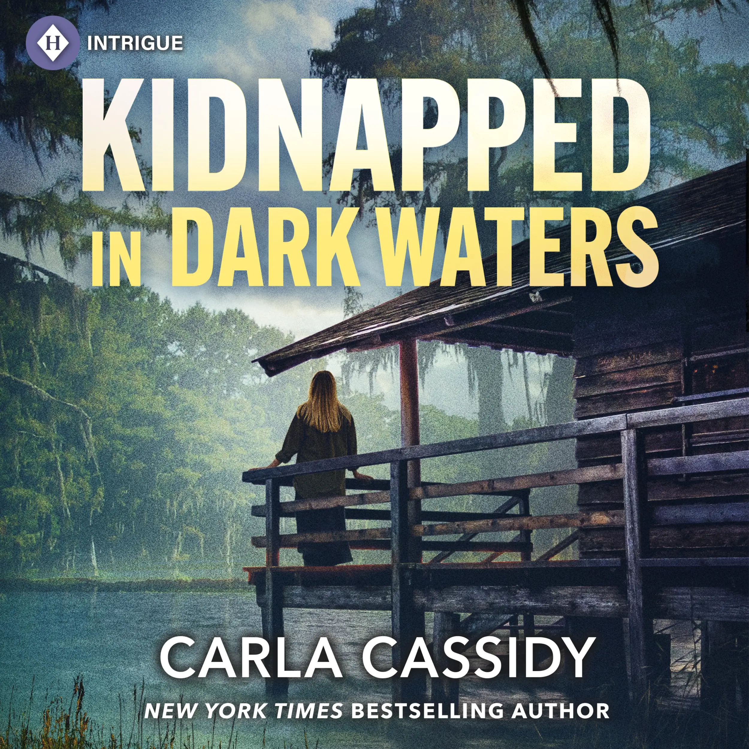 Kidnapped in Dark Waters
