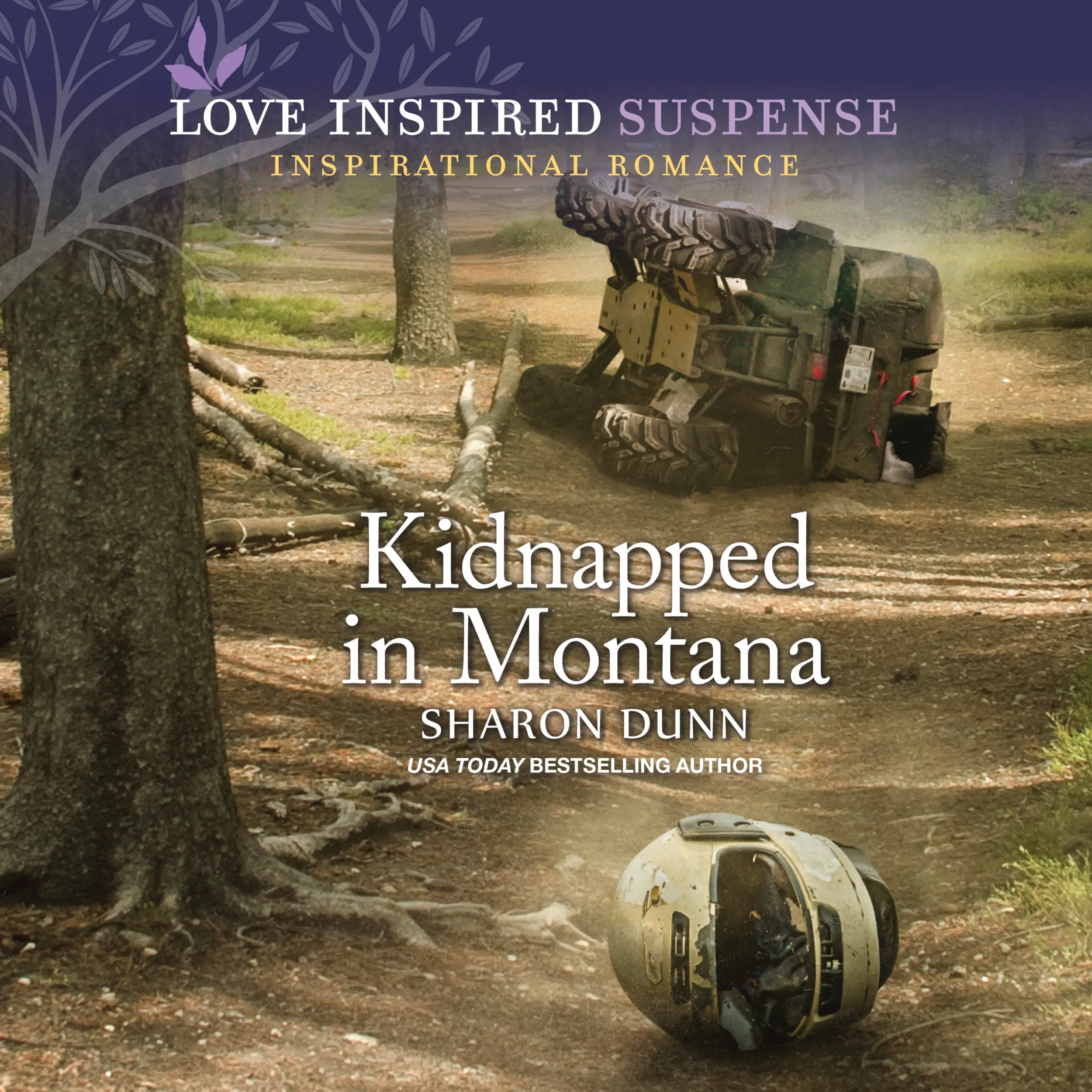Kidnapped In Montana