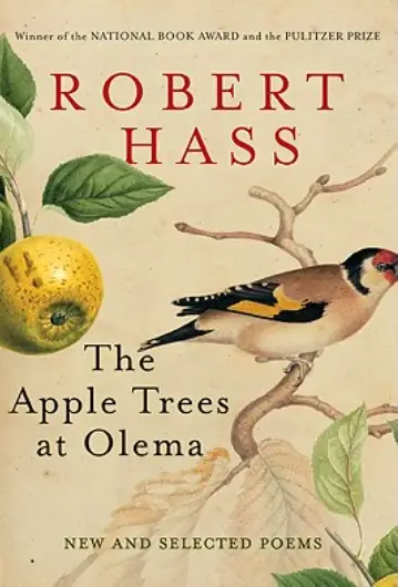 “﻿The Creek in Shirley Canyon” by Robert Hass