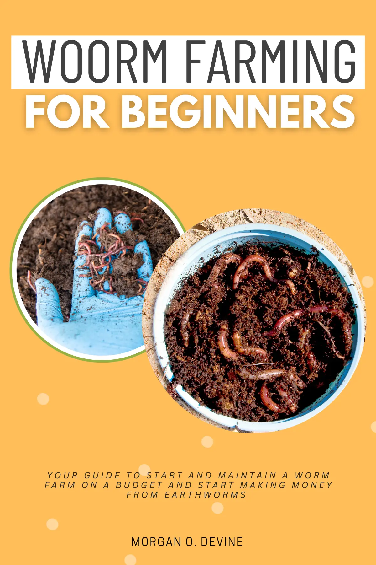 Worm Farming for Beginners