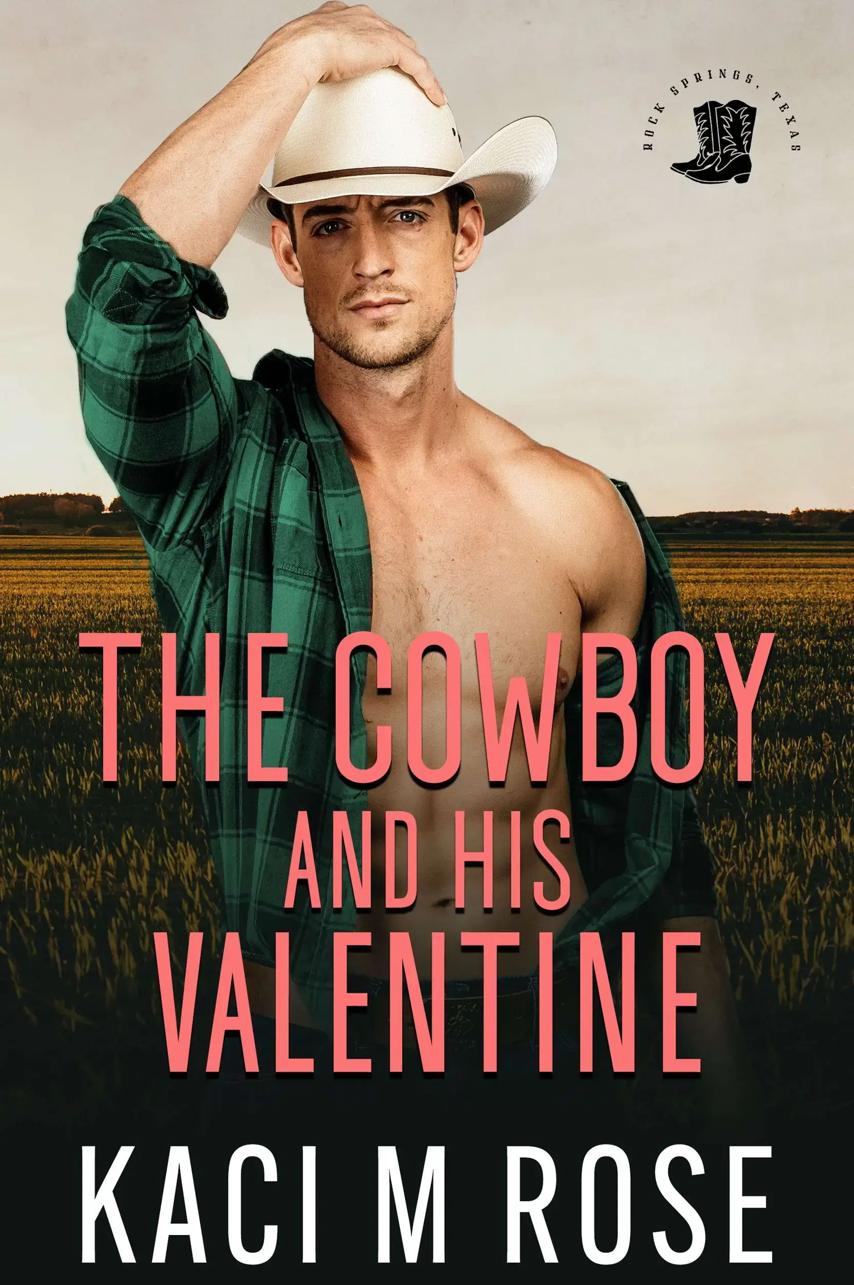 The Cowboy and His Valentine