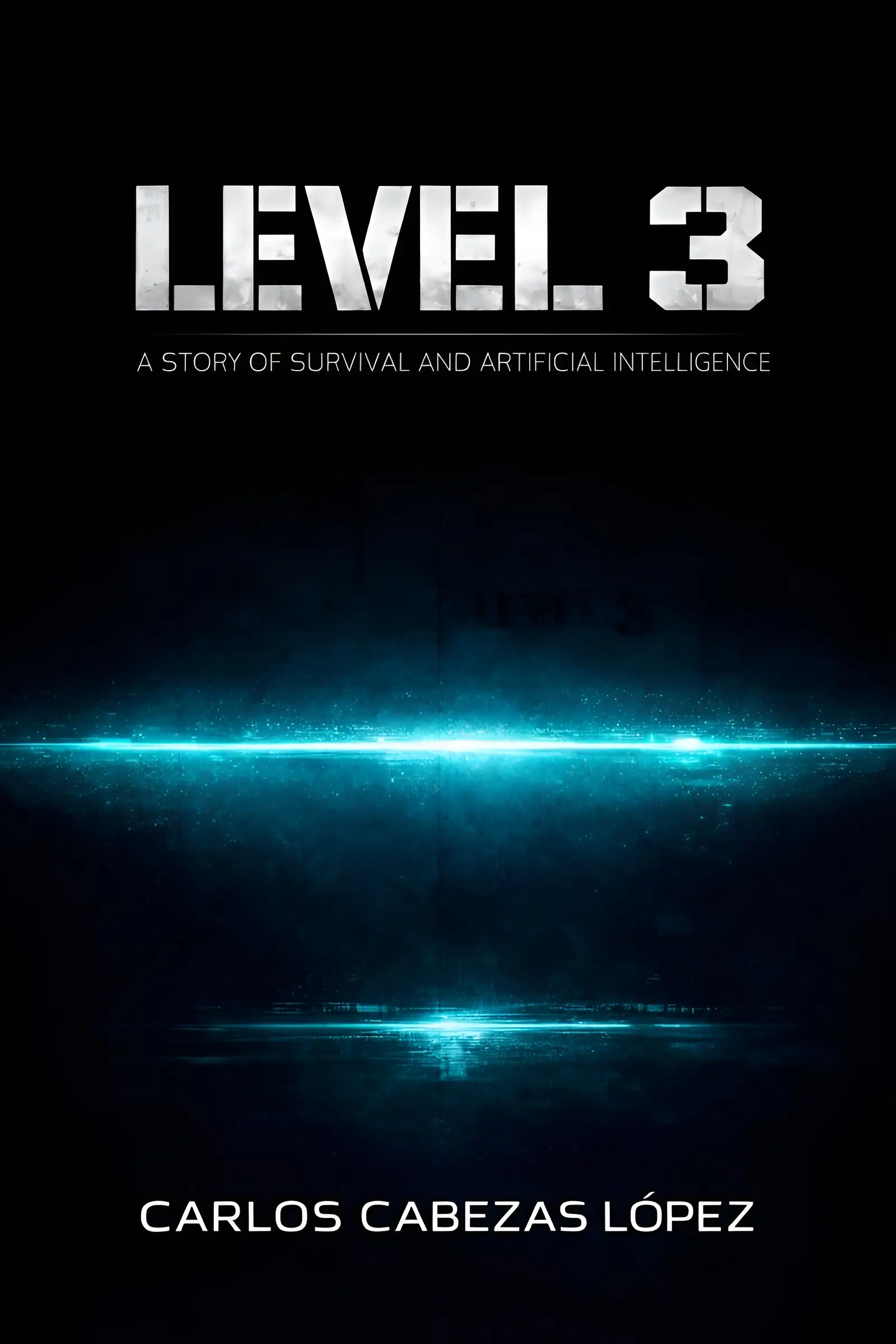 Level 3