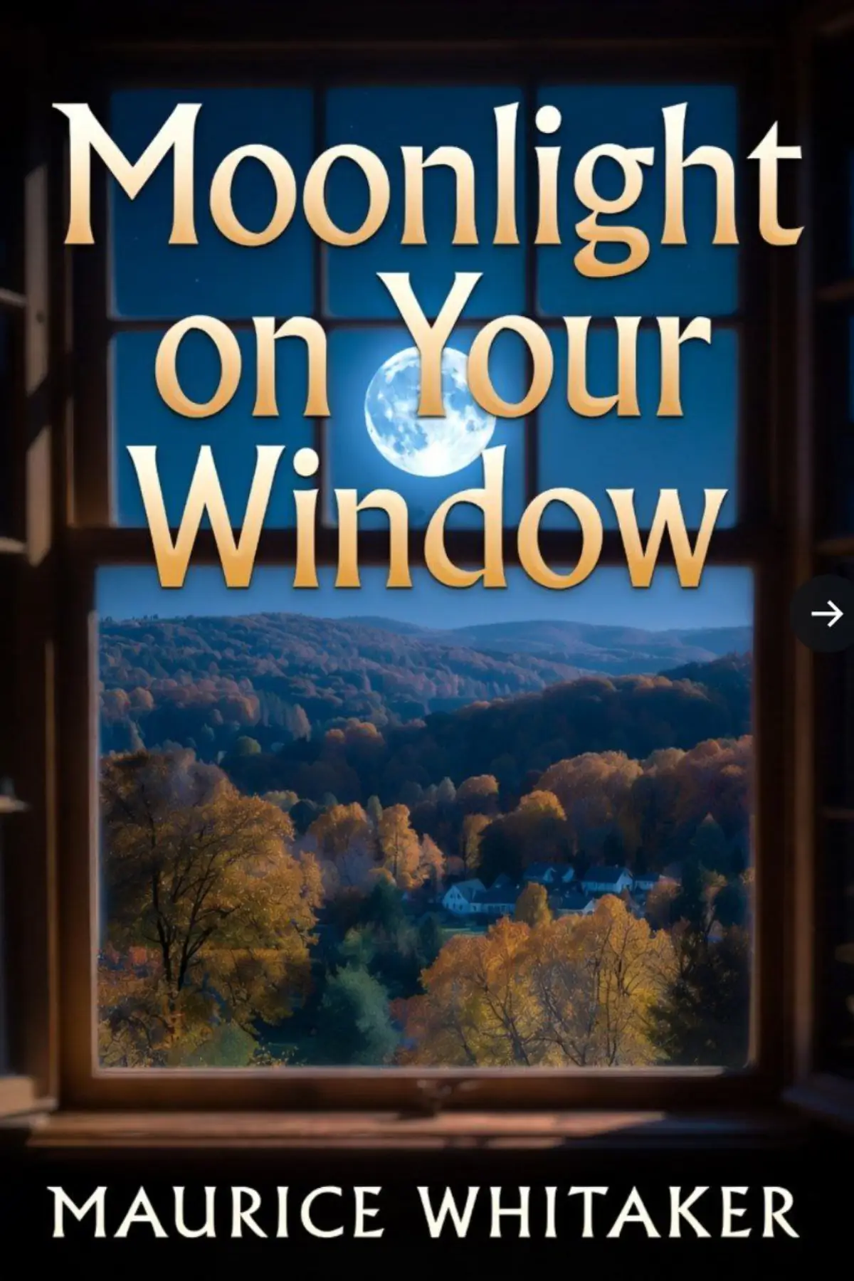Moonlight On Your Window