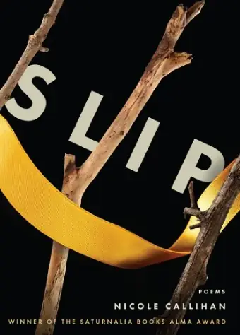 “Summer Elegy” by Nicole Callihan