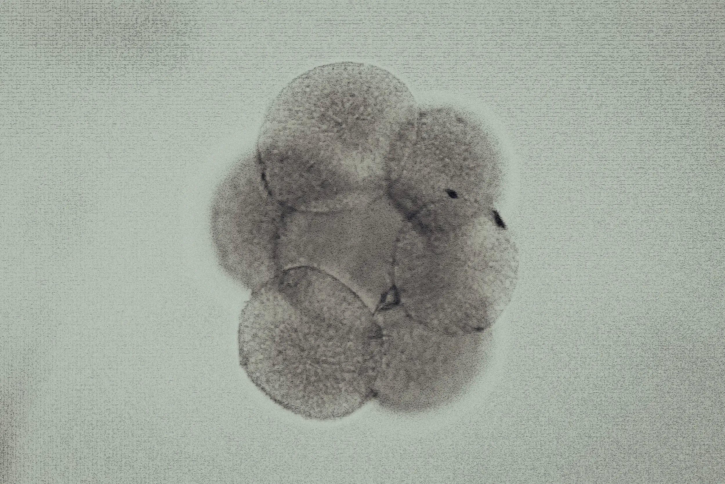 What Happens If We Become Dependent on IVF?