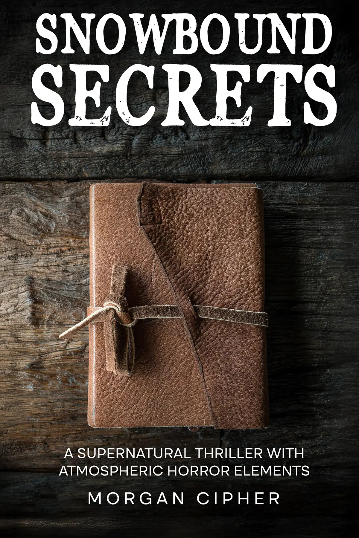 Snowbound Secrets