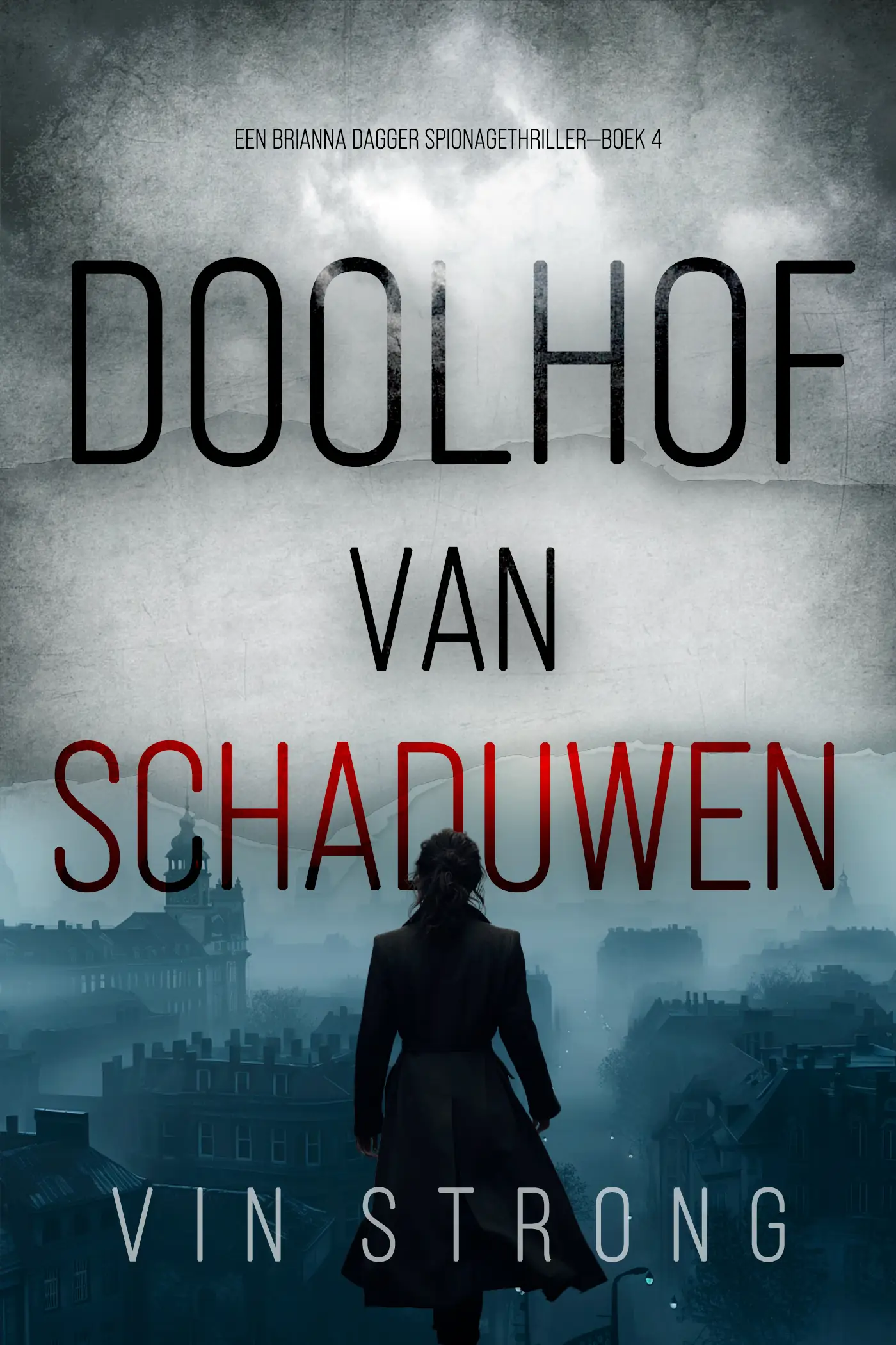 Doolhof van Schaduwen (Een Brianna Dagger Spionagethriller—Boek 4)