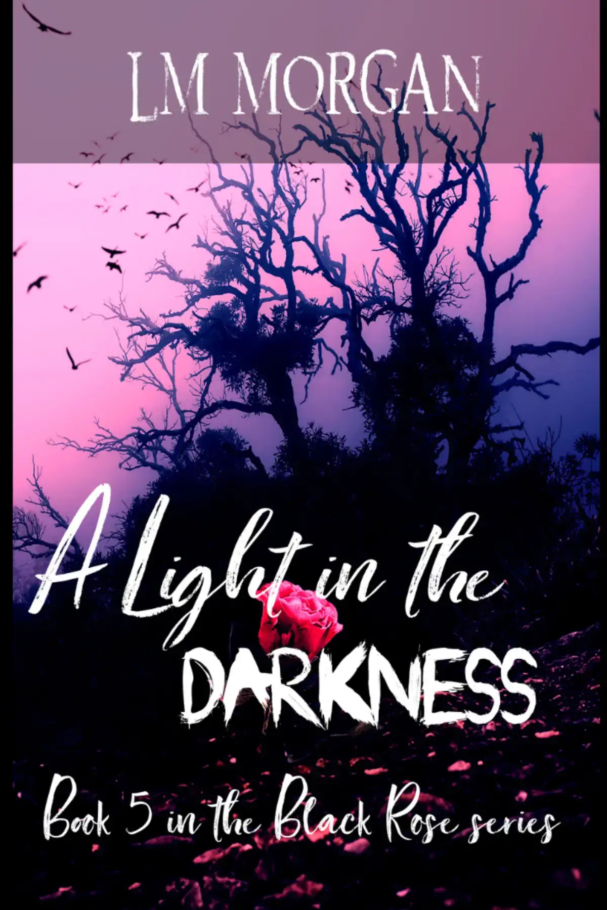 A Light in the Darkness  Book 5 in the Black Rose series