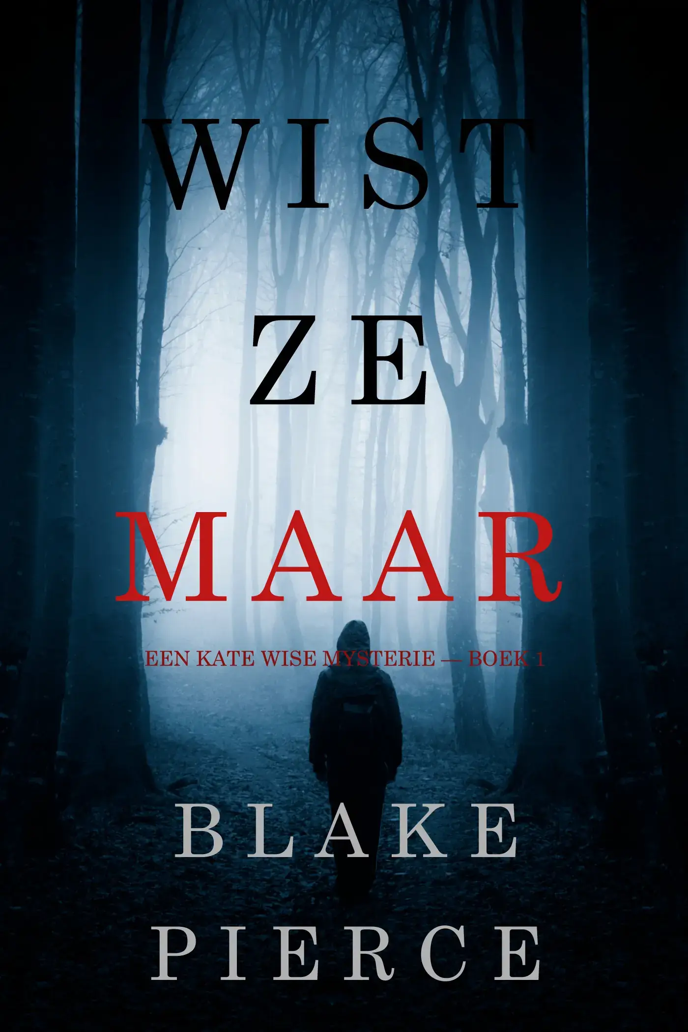 Wist Ze Maar (Een Kate Wise Mysterie — Boek 1)