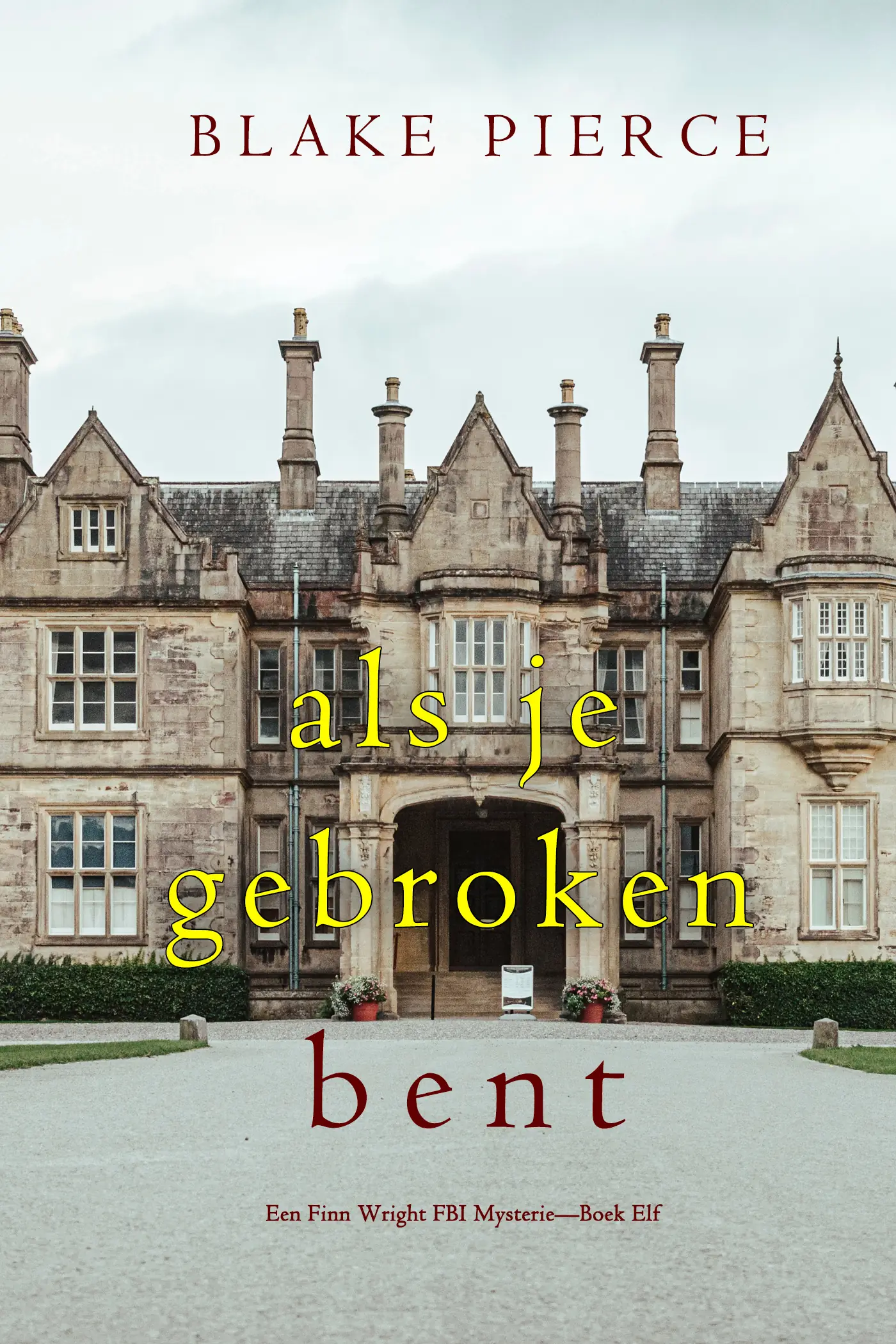 Als je gebroken bent (Een Finn Wright FBI Mysterie—Boek Elf)