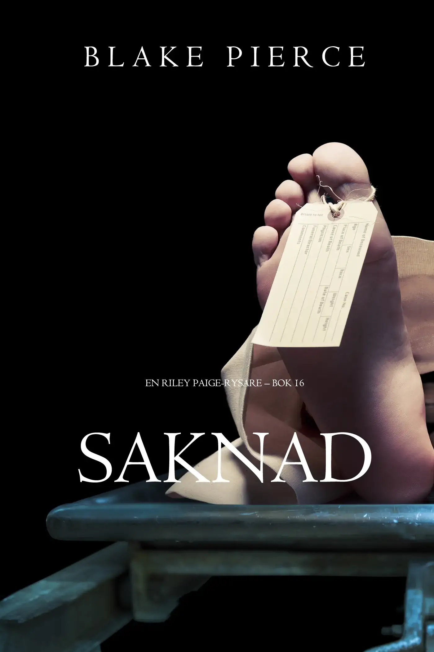 Saknad (En Riley Paige-Rysare – Bok 16)