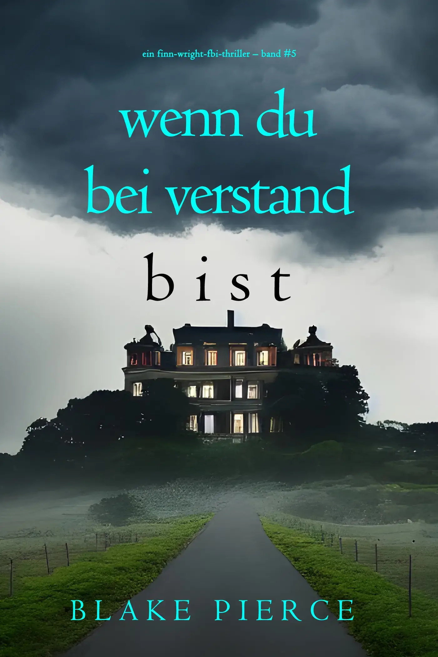 Wenn du bei Verstand bist (Ein Finn-Wright-FBI-Thriller – Band Fünf)
