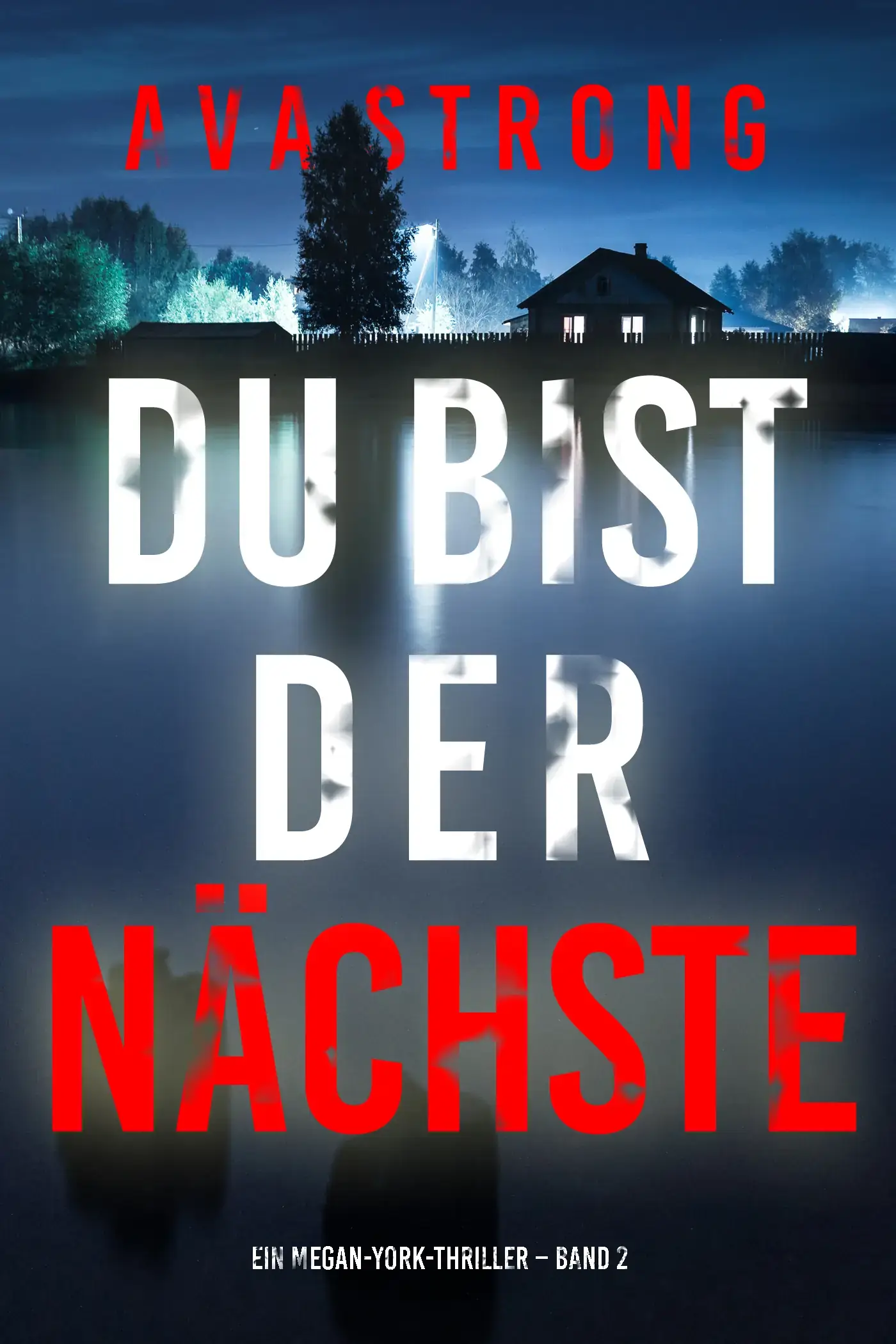 Du bist der Nächste (Ein Megan-York-Thriller – Band 2)