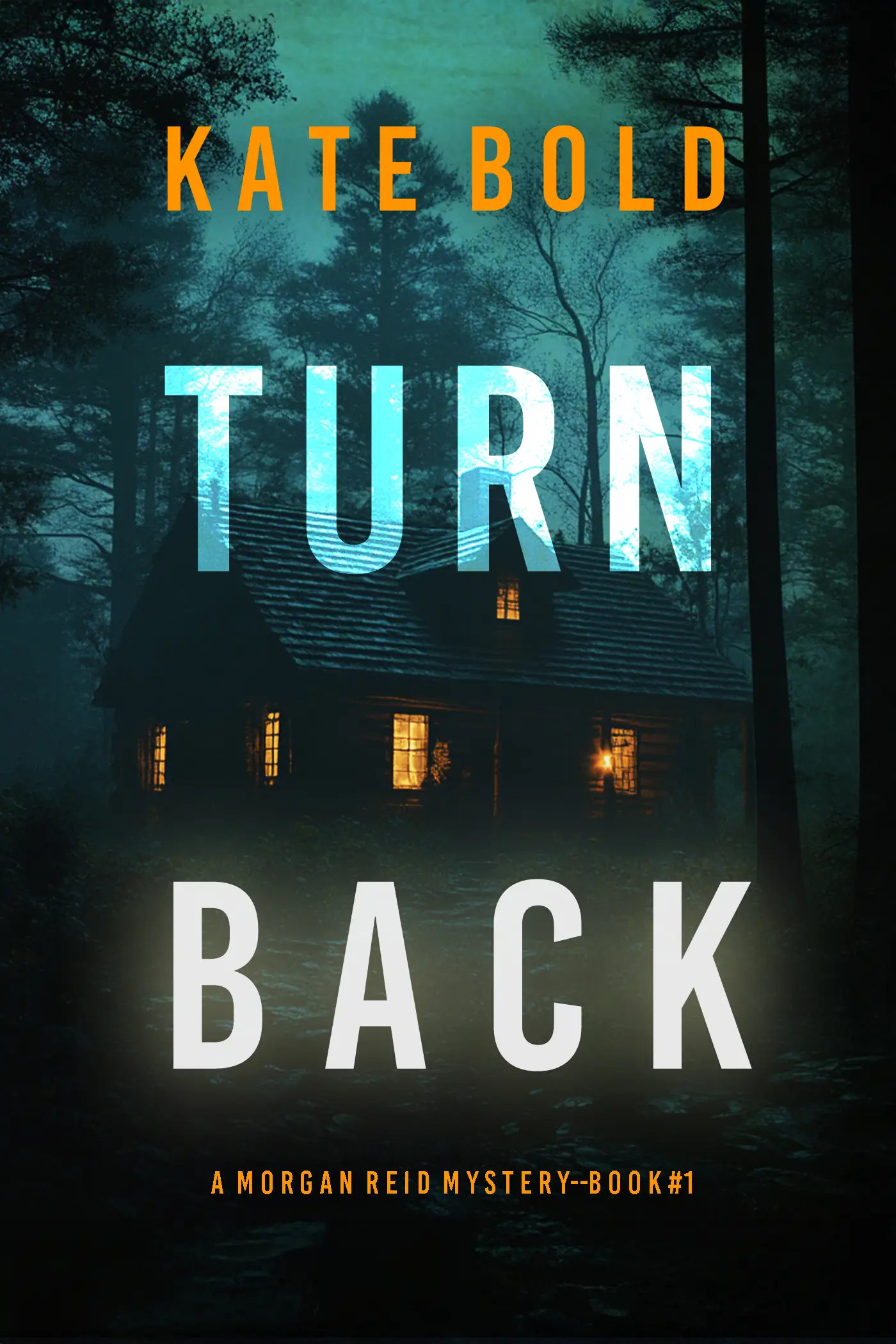 Turn Back (A Morgan Reid FBI Suspense Thriller—Book One)