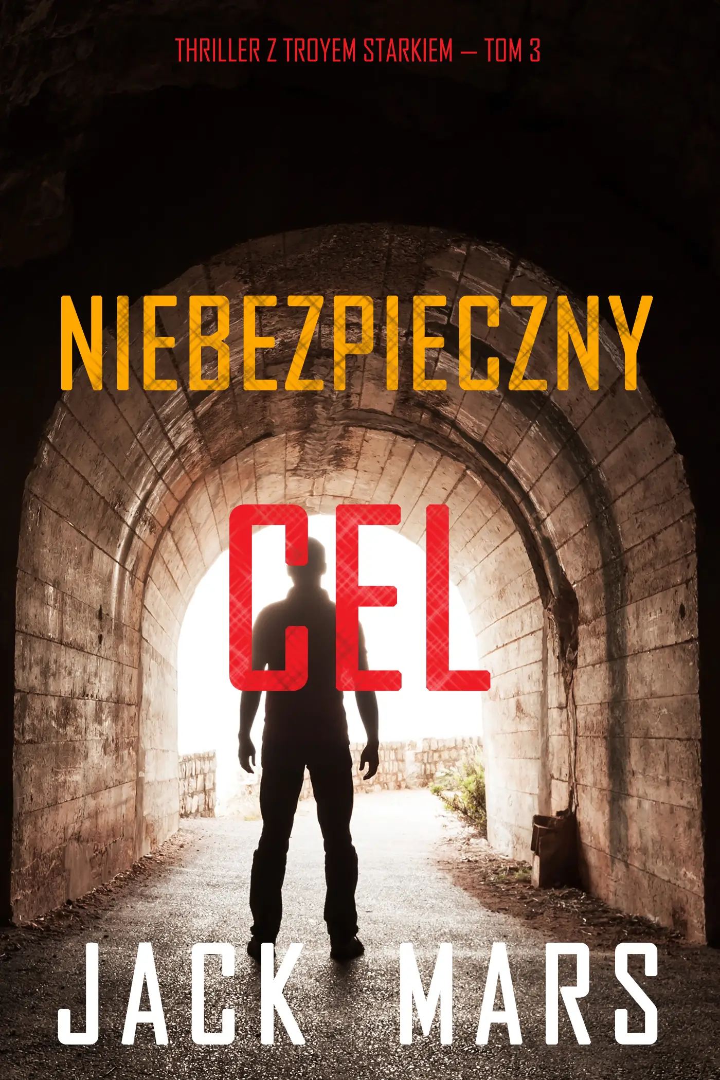 Niebezpieczny cel (Thriller z Troyem Starkiem — Tom 3)