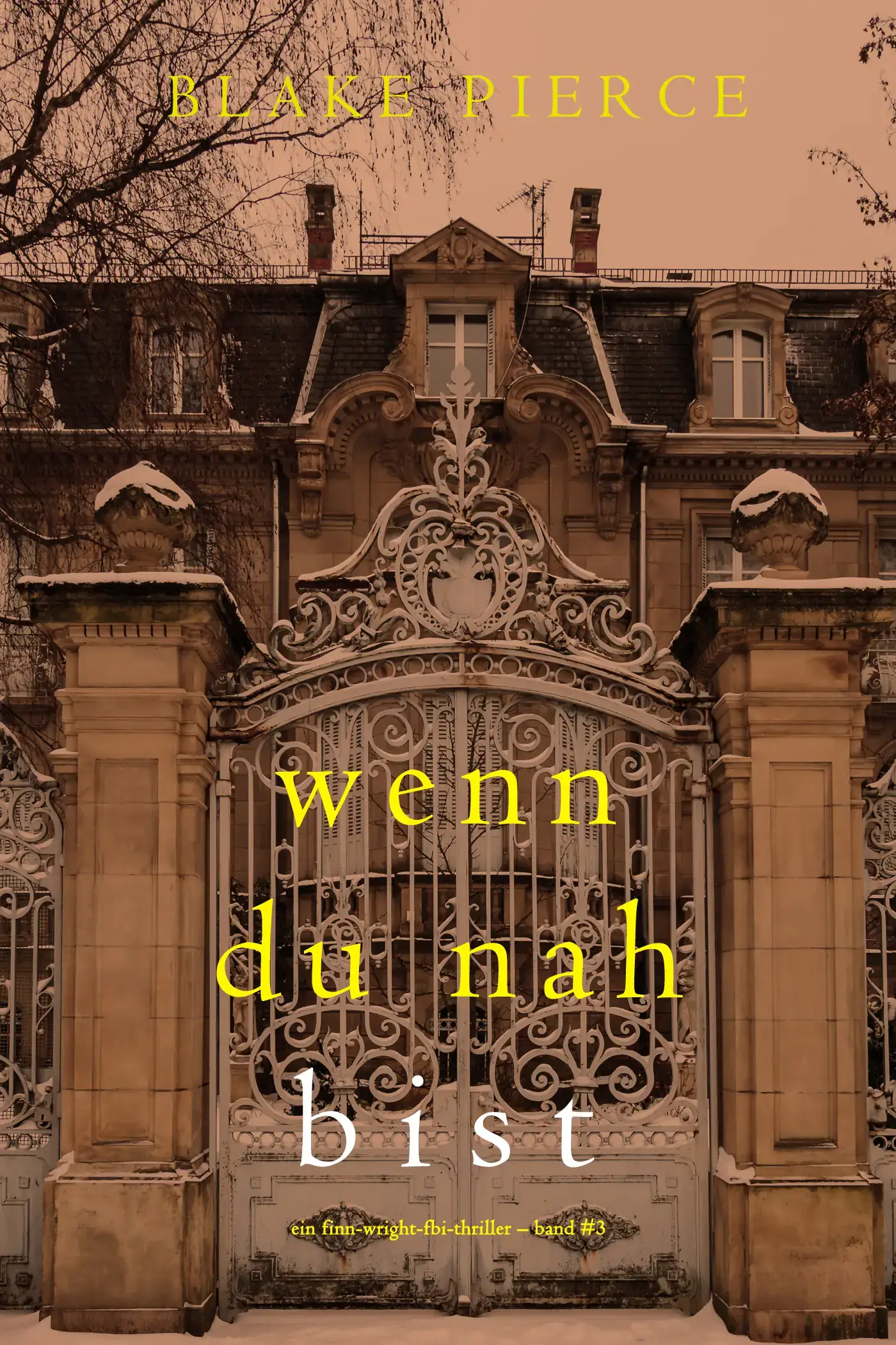 Wenn du nah bist (Ein Finn-Wright-FBI-Thriller – Band Drei)