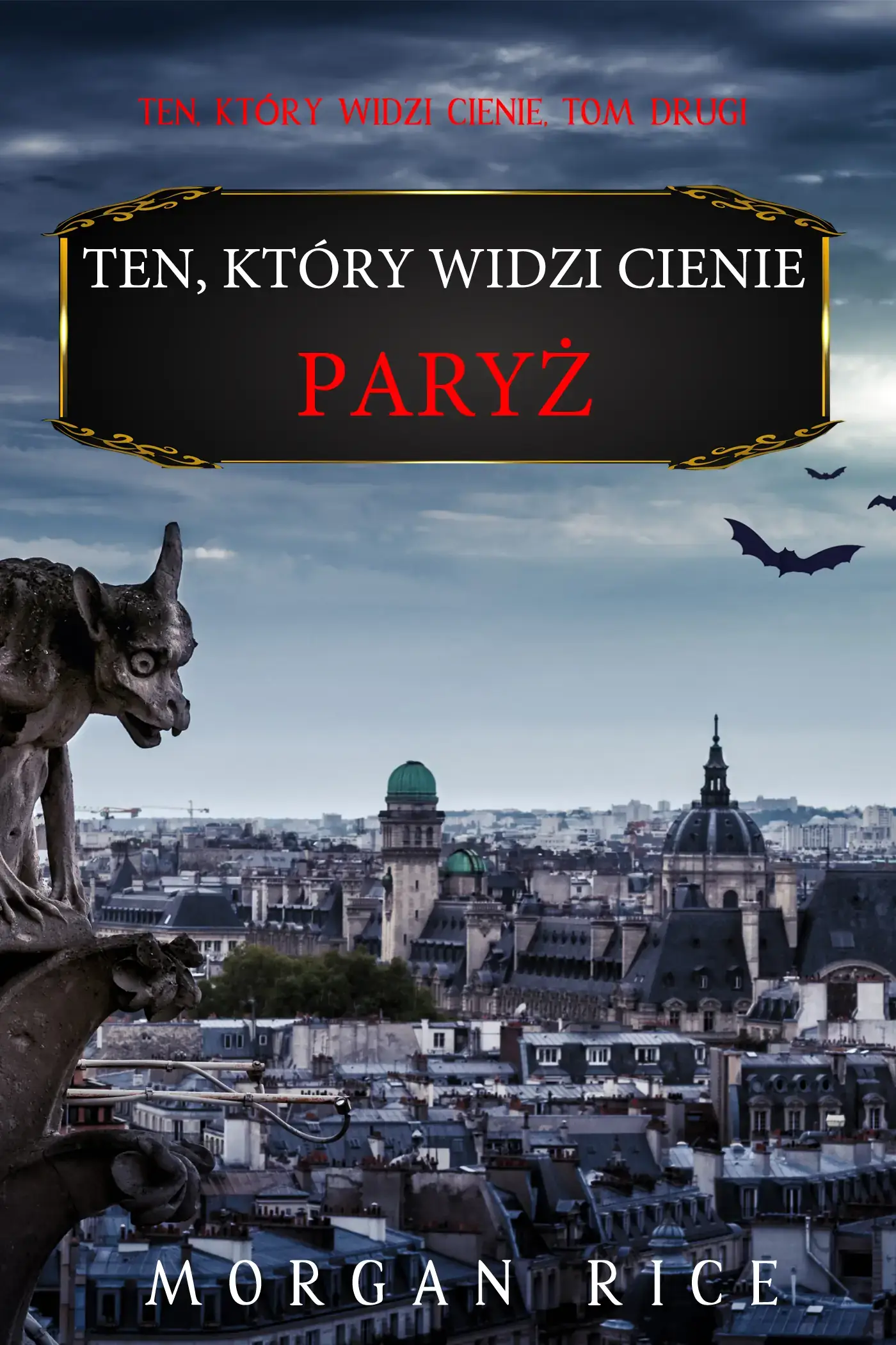 Ten, który widzi cienie: Paryż (Ten, który widzi cienie, Tom drugi)