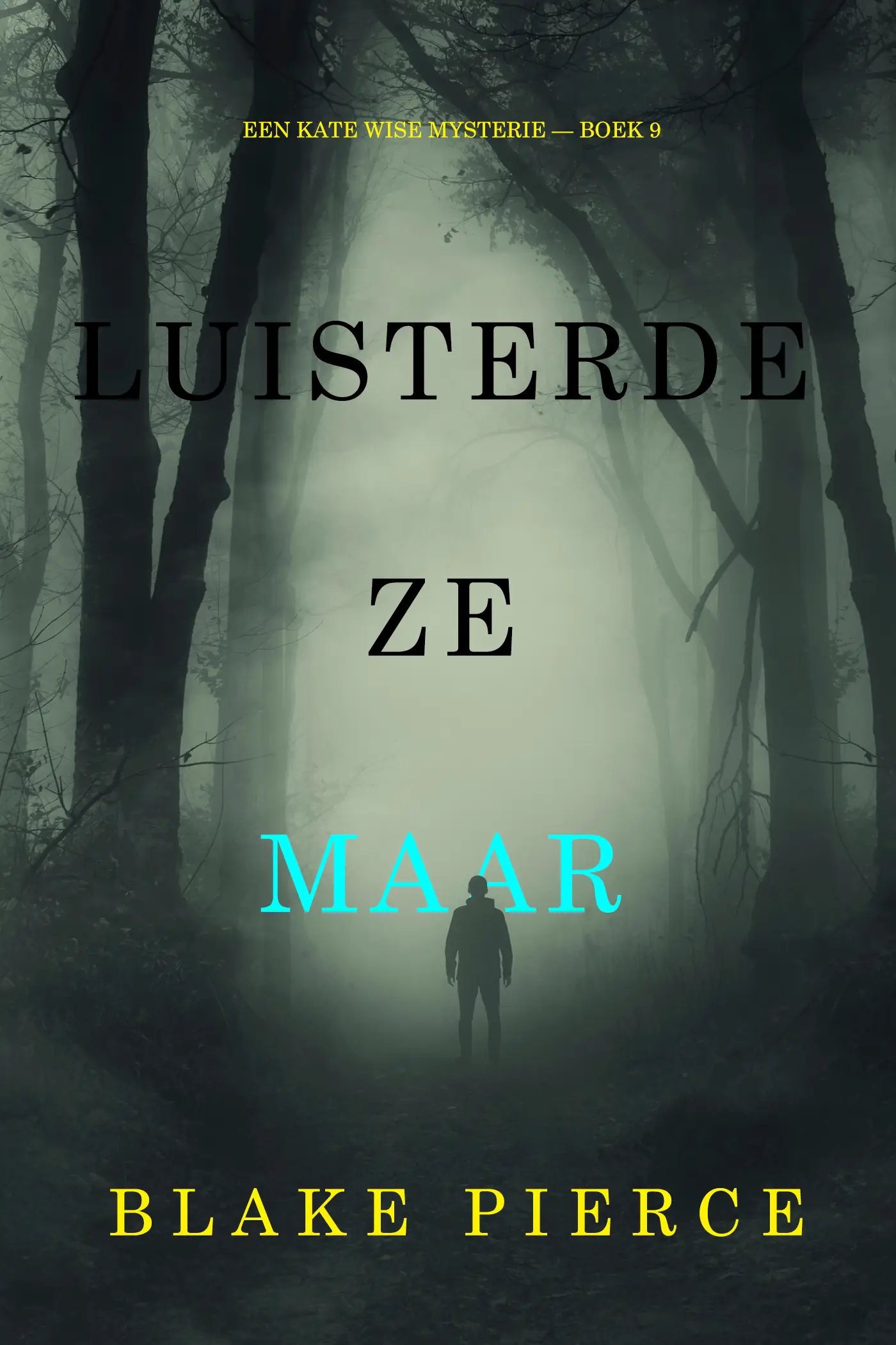 Luisterde Ze Maar (Een Kate Wise Mysterie — Boek 9)
