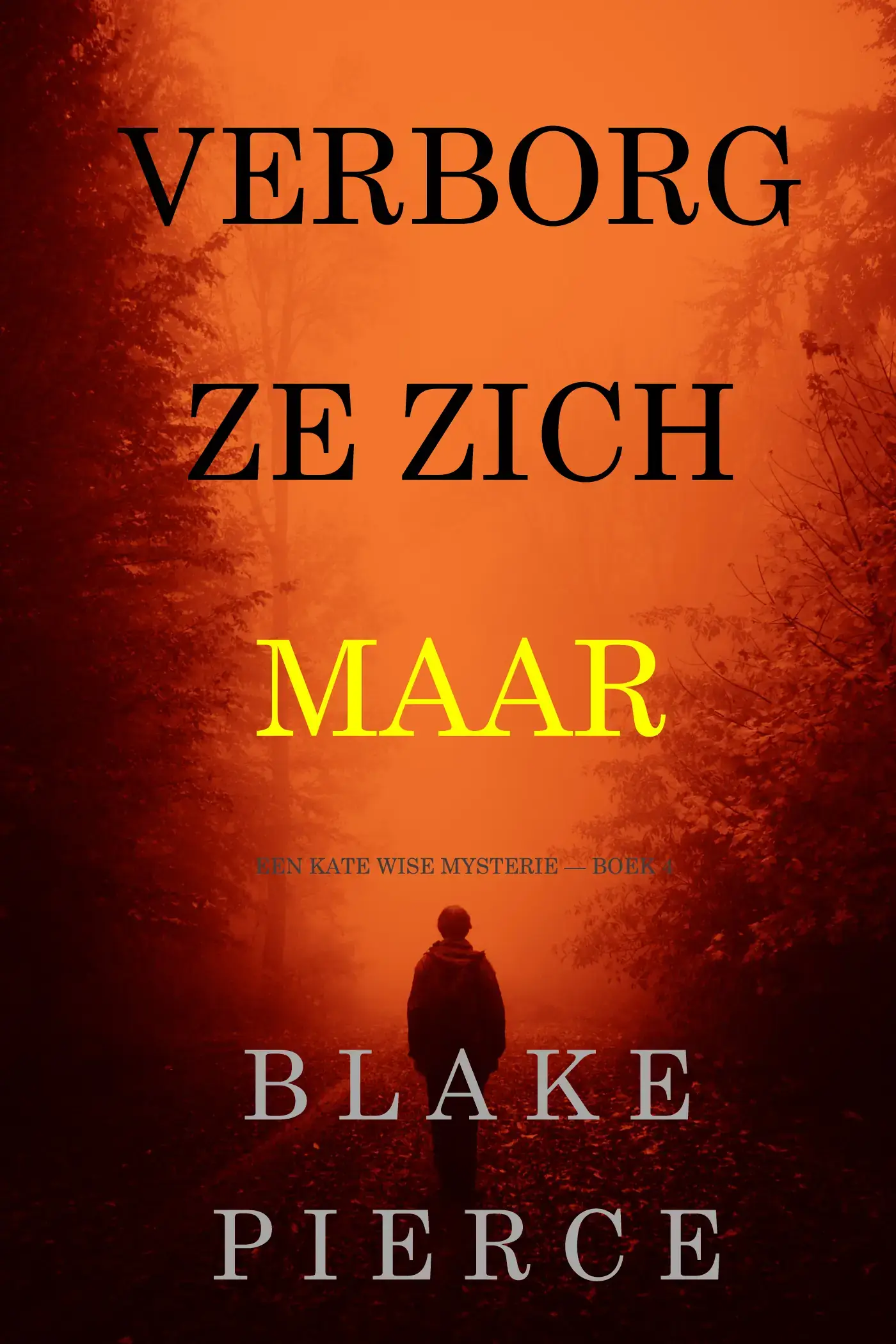 Verborg Ze Zich Maar (Een Kate Wise Mysterie — Boek 4)
