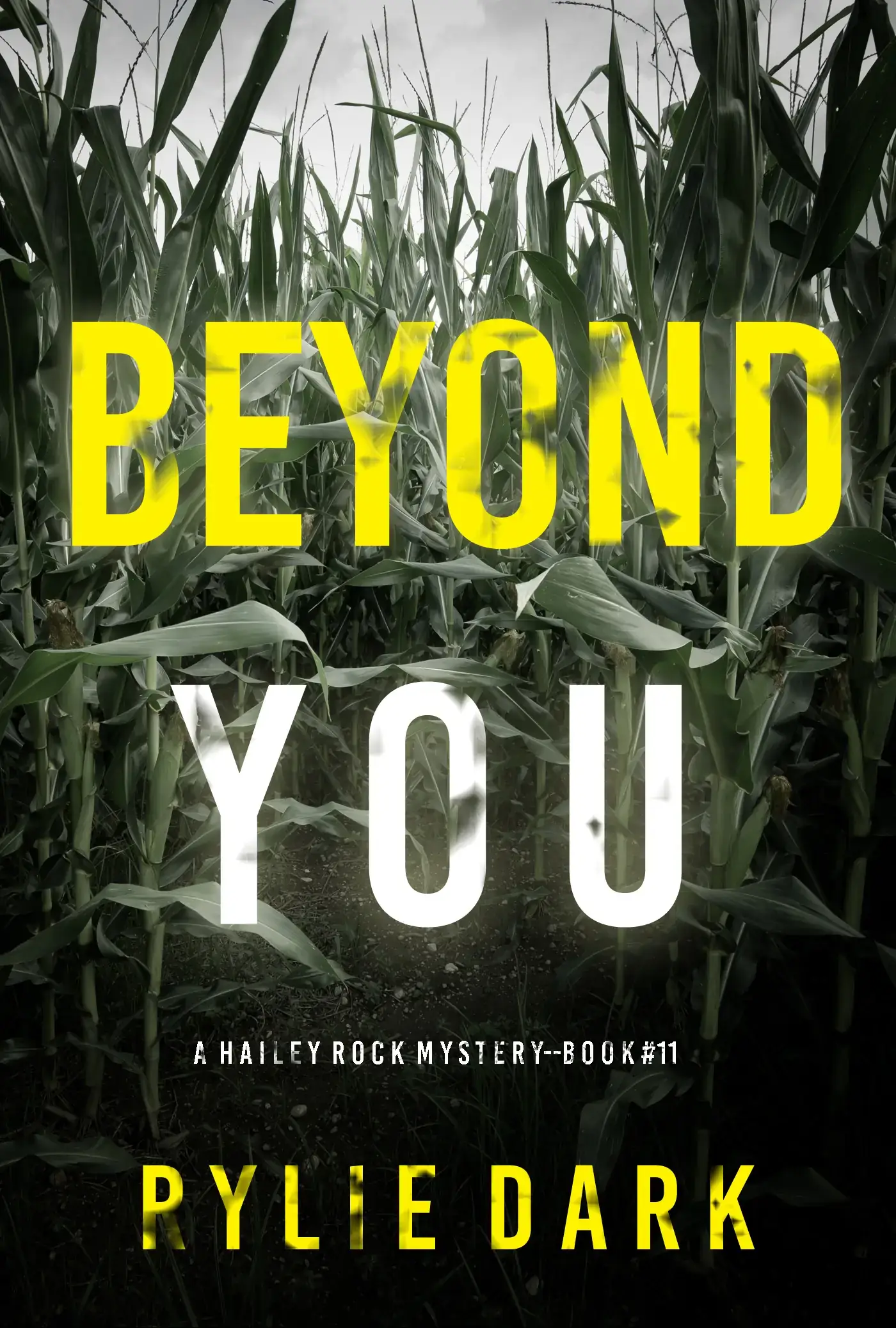 Beyond You (A Hailey Rock FBI Suspense Thriller—Book 11)