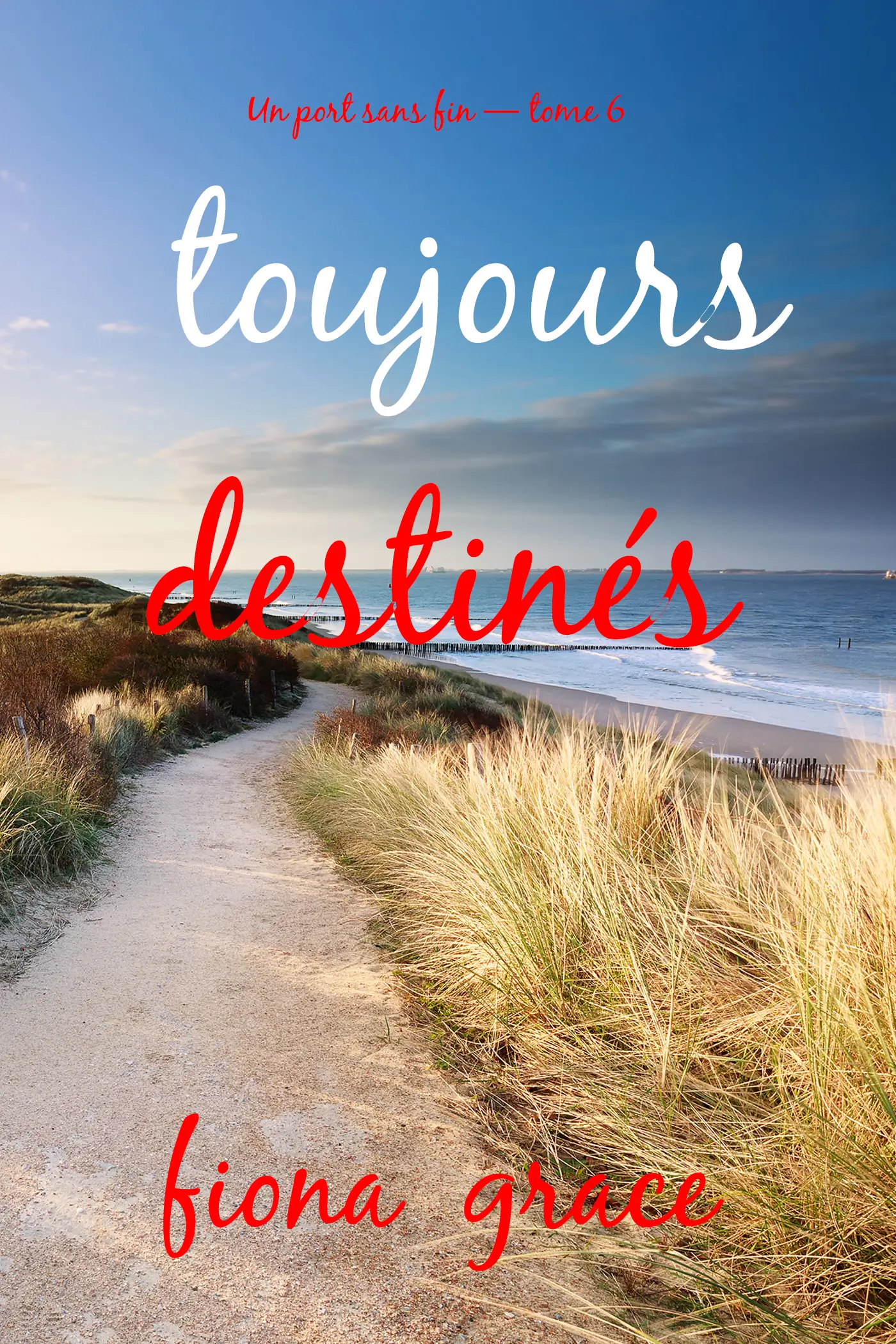 Toujours destinés (Un port sans fin — tome 6)