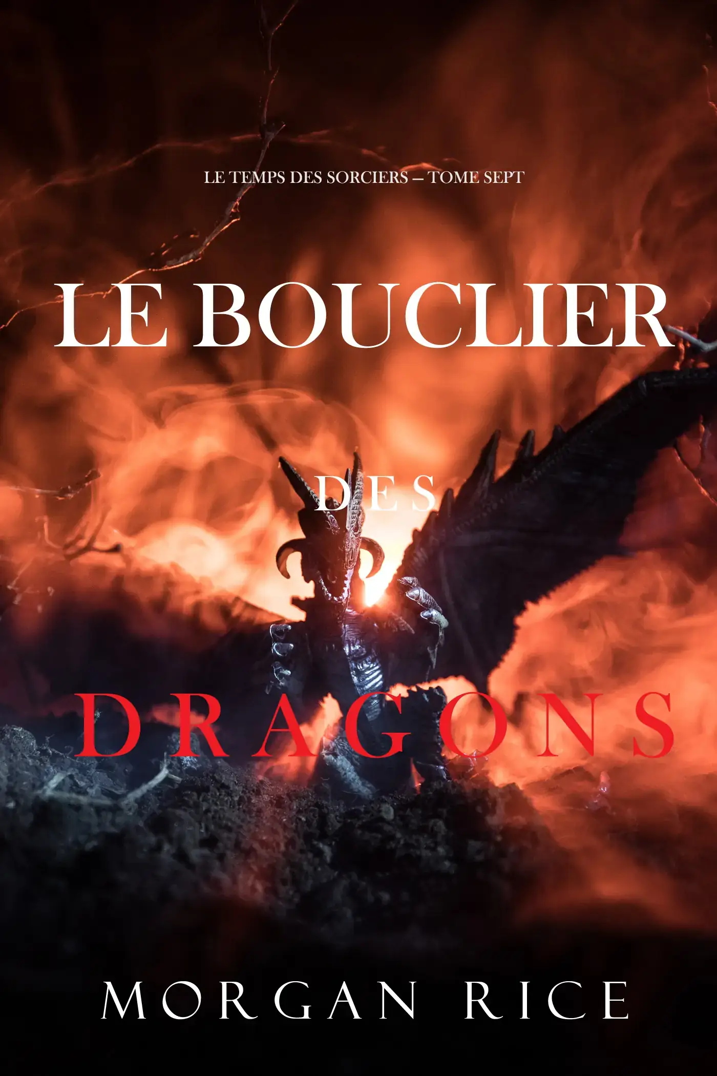 Le Bouclier des Dragons (Le Temps des Sorciers — Tome Sept)