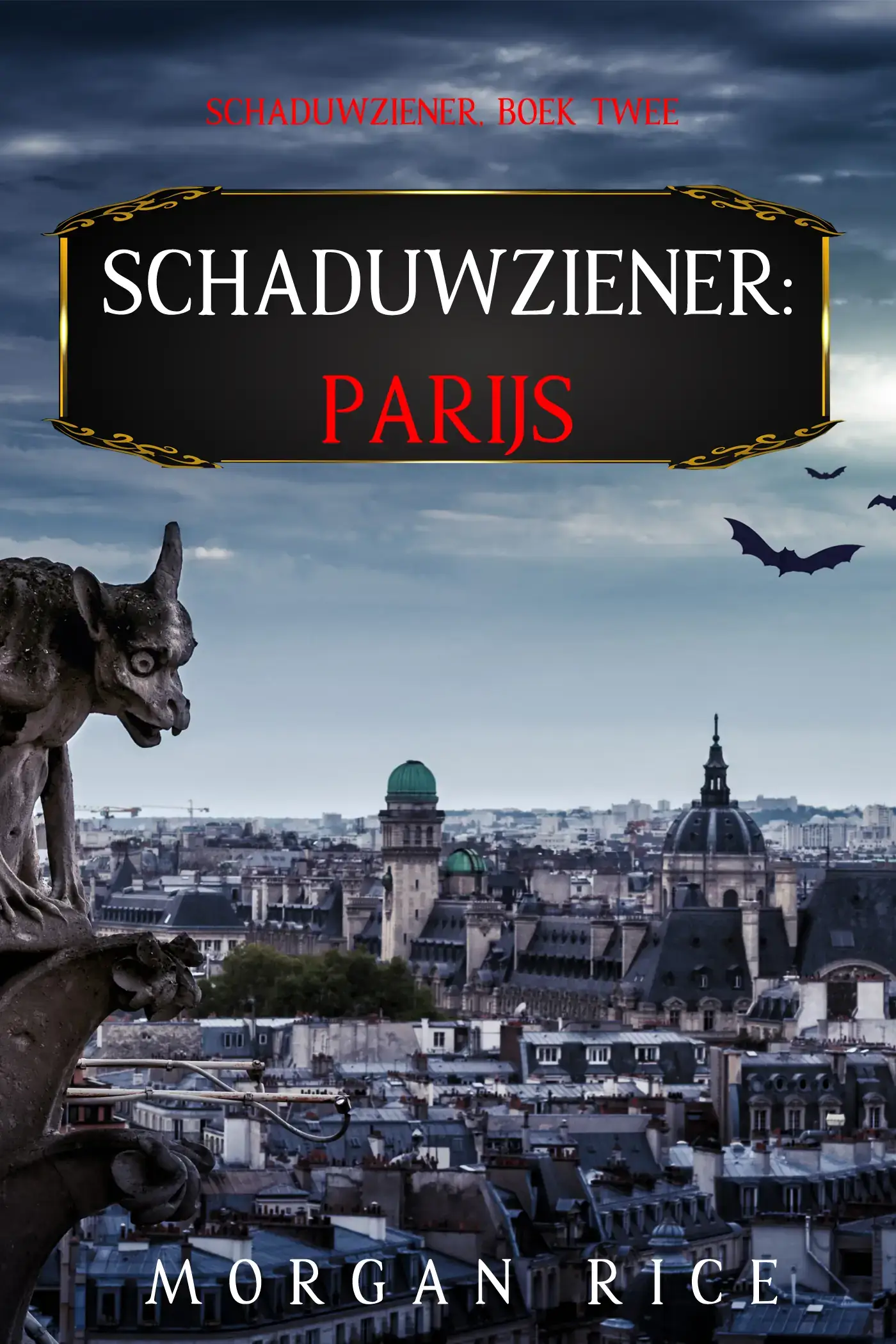 Schaduwziener: Parijs (Schaduwziener, Boek Twee)