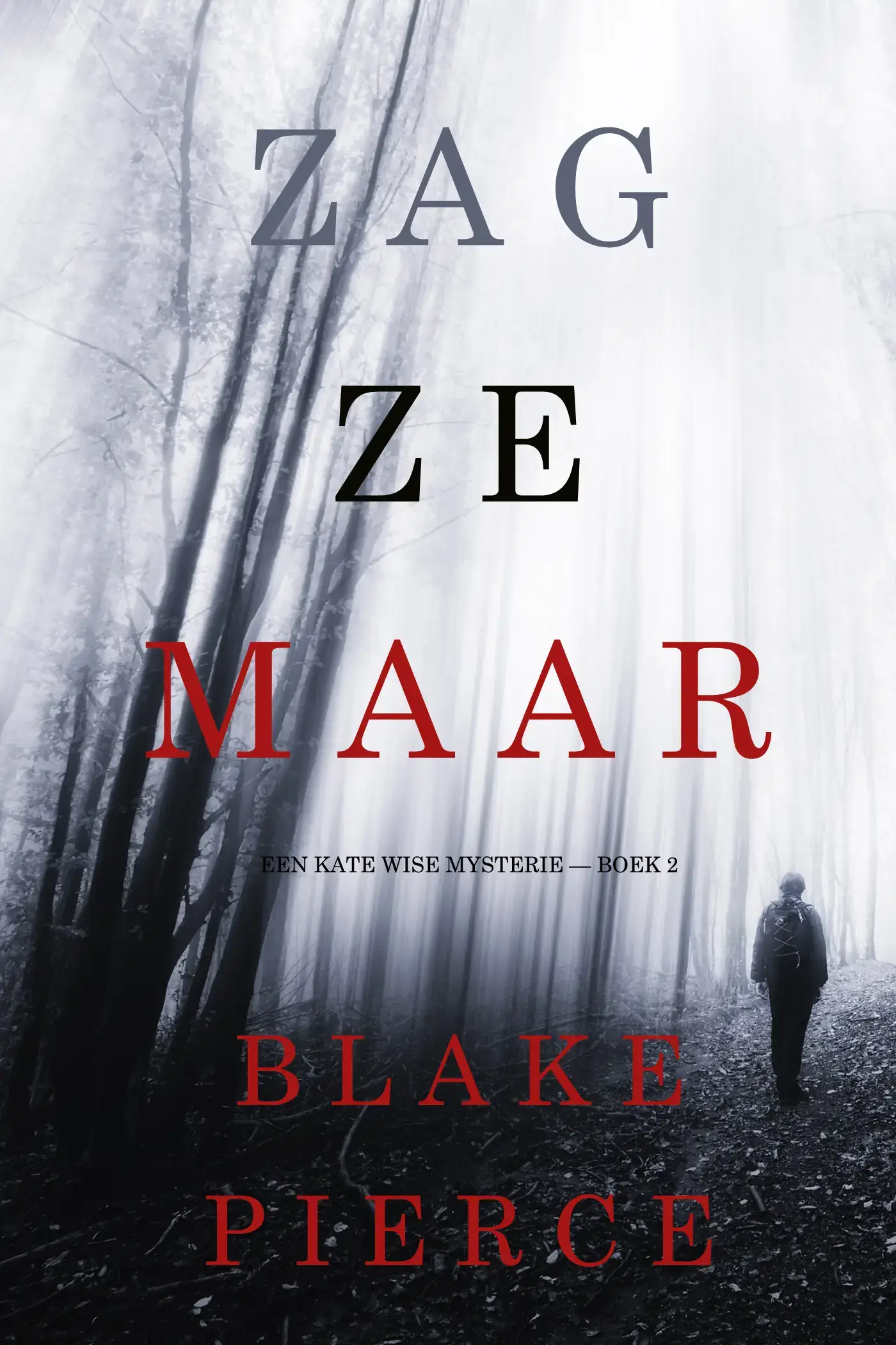 Zag Ze Maar (Een Kate Wise Mysterie — Boek 2)