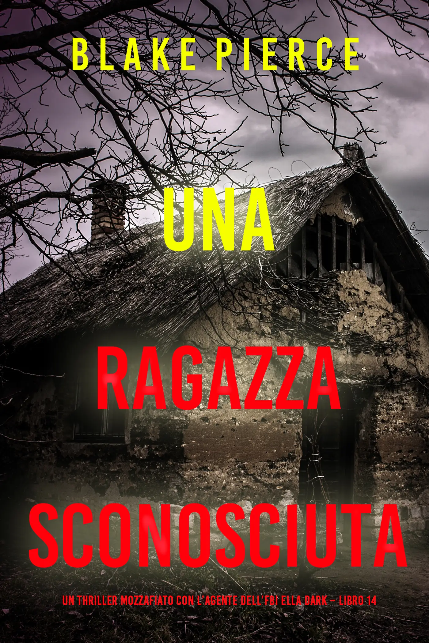 Una Ragazza Sconosciuta (Un thriller mozzafiato con l’agente dell’FBI Ella Dark – Libro 14)