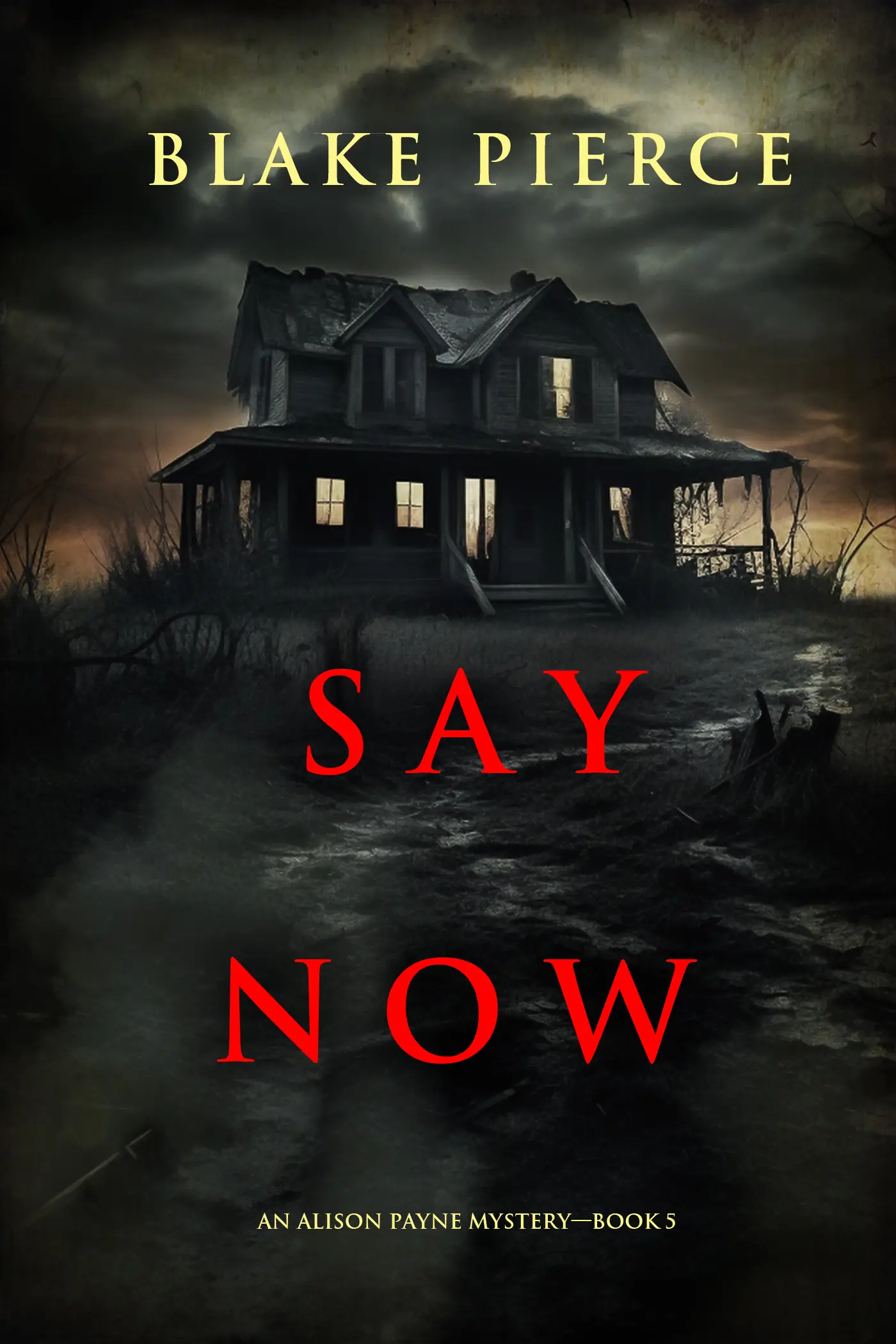 Say Now (An Alison Payne Suspense Thriller—Book Five)