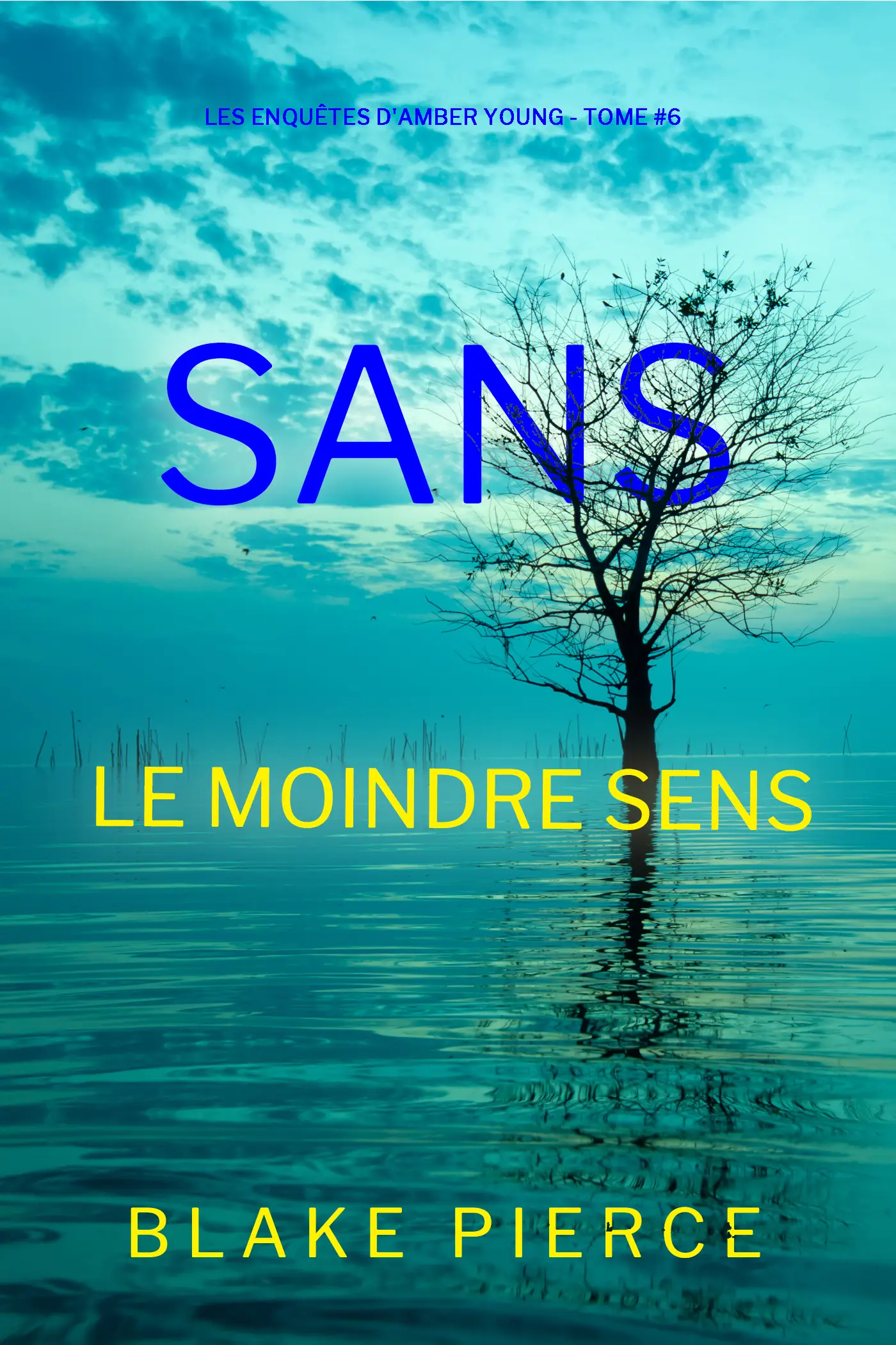 Sans le moindre sens (Les Enquêtes d'Amber Young — tome 6)