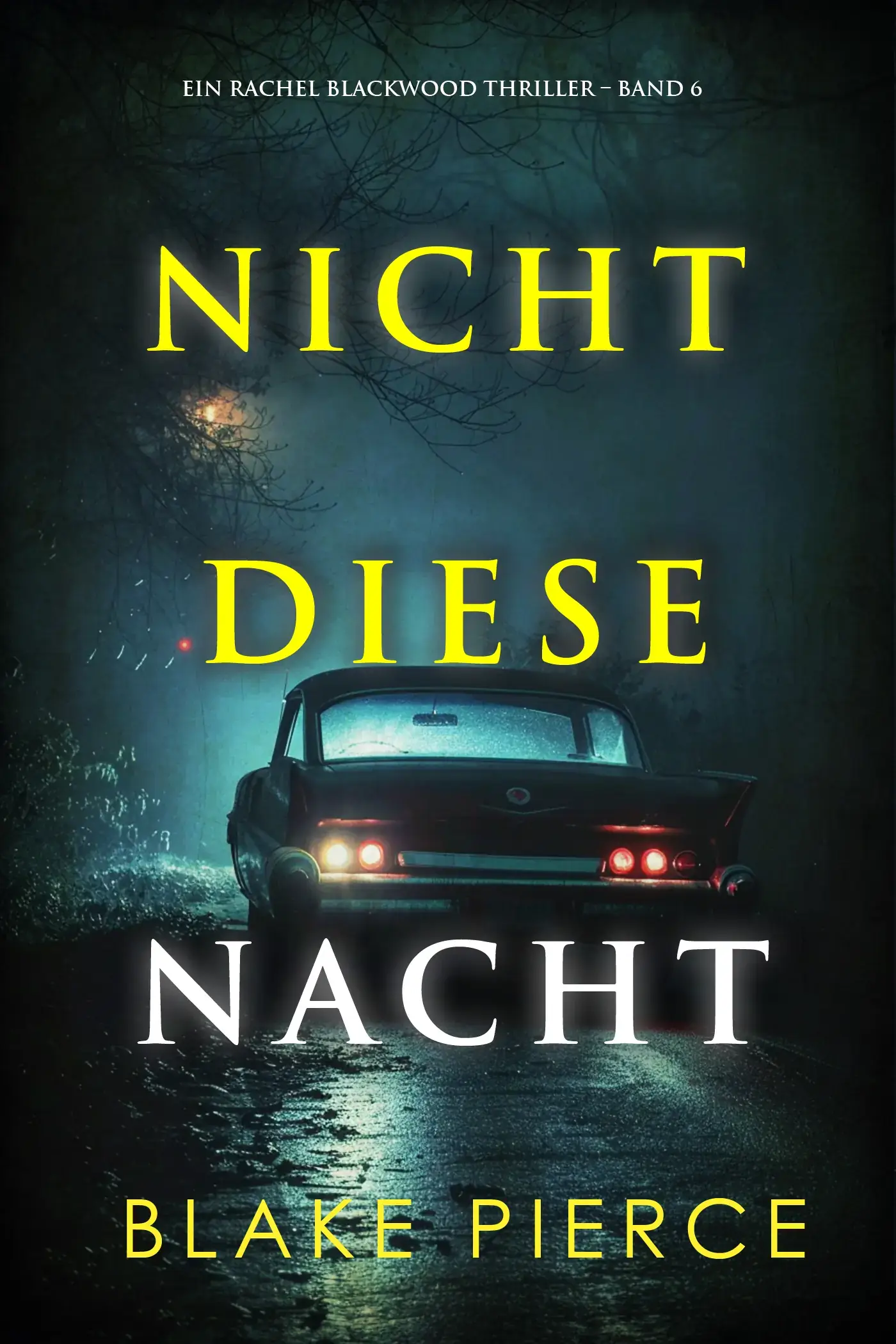 Nicht Diese Nacht (Ein Rachel Blackwood Thriller – Band 6)