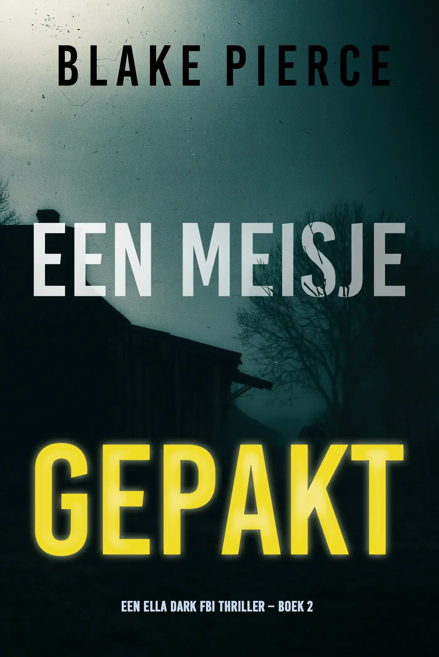 Een Meisje Gepakt (Een Ella Dark FBI Thriller – Boek 2)