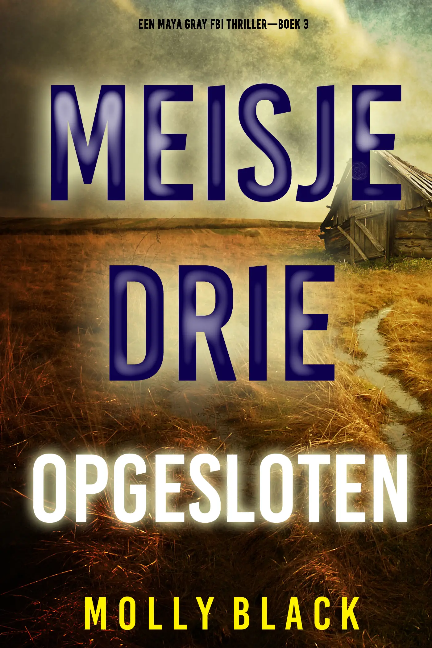 Meisje Drie: Opgesloten (Een Maya Gray FBI Thriller—Boek 3)