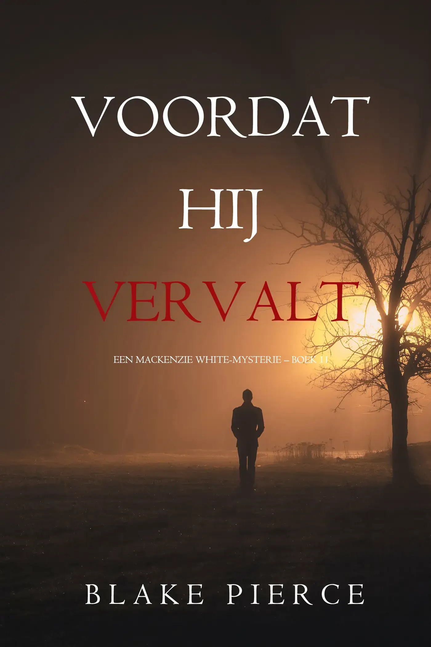 Voordat hij Vervalt (Een Mackenzie White-mysterie – Boek 11)