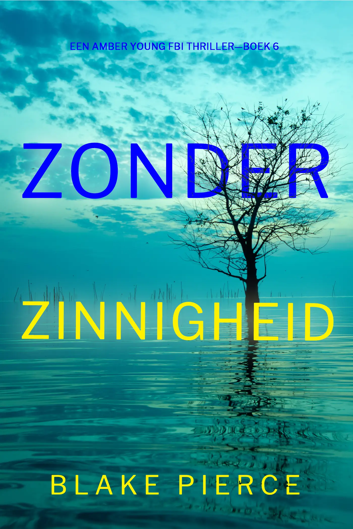 Zonder Zinnigheid (Een Amber Young Fbi Thriller—Boek 6)