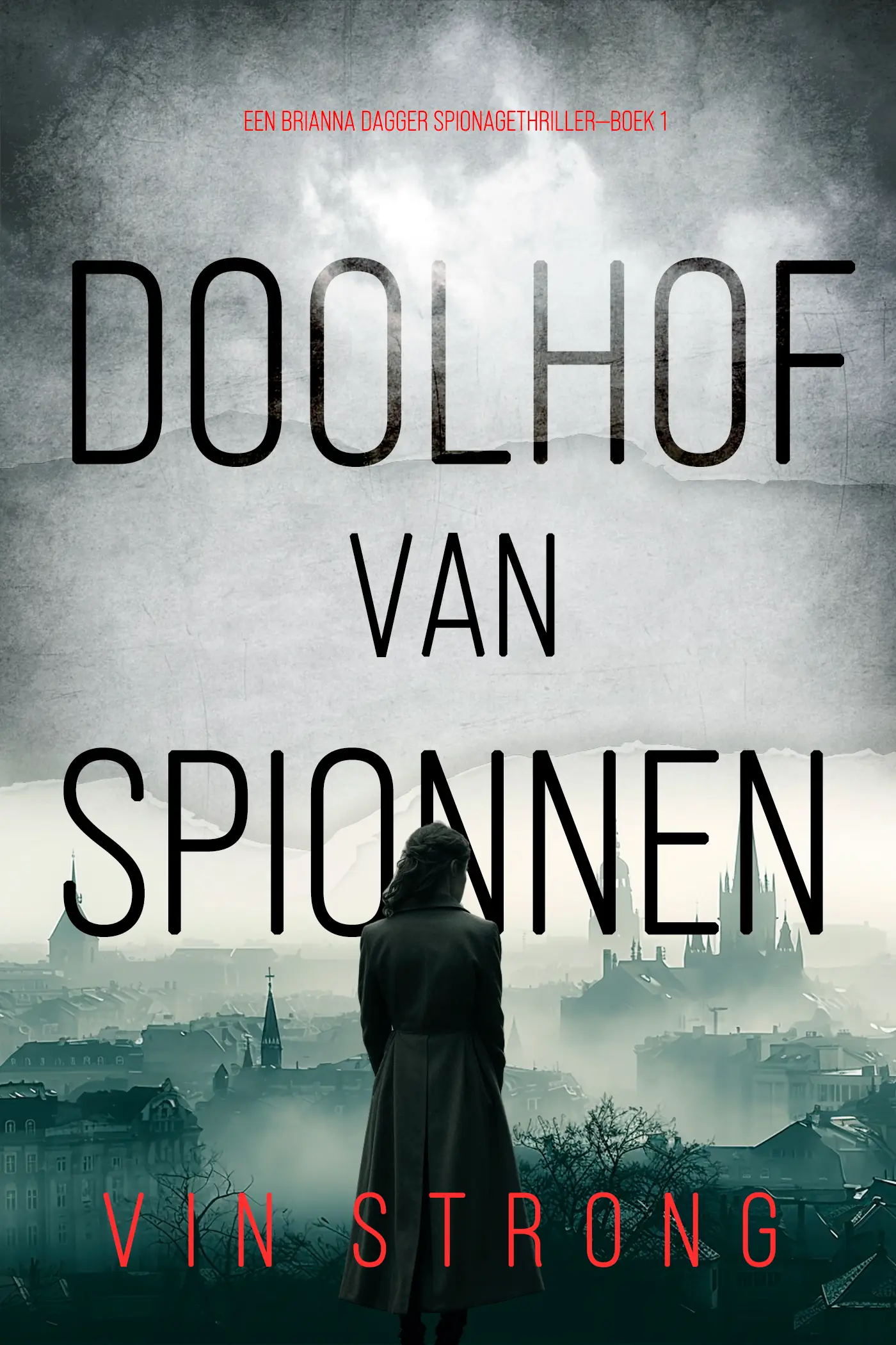 Doolhof van Spionnen (Een Brianna Dagger Spionagethriller—Boek 1)