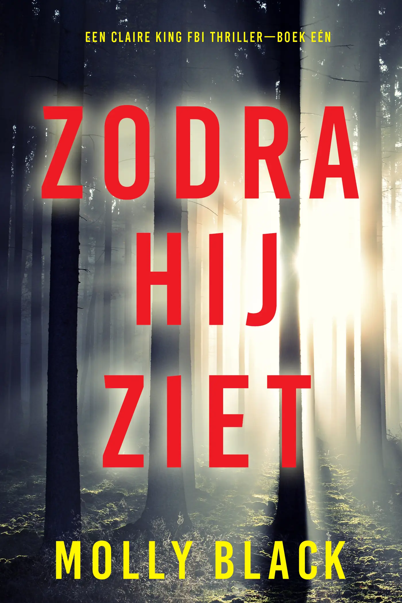 Zodra Hij Ziet (Een Claire King FBI Thriller—Boek Eén)