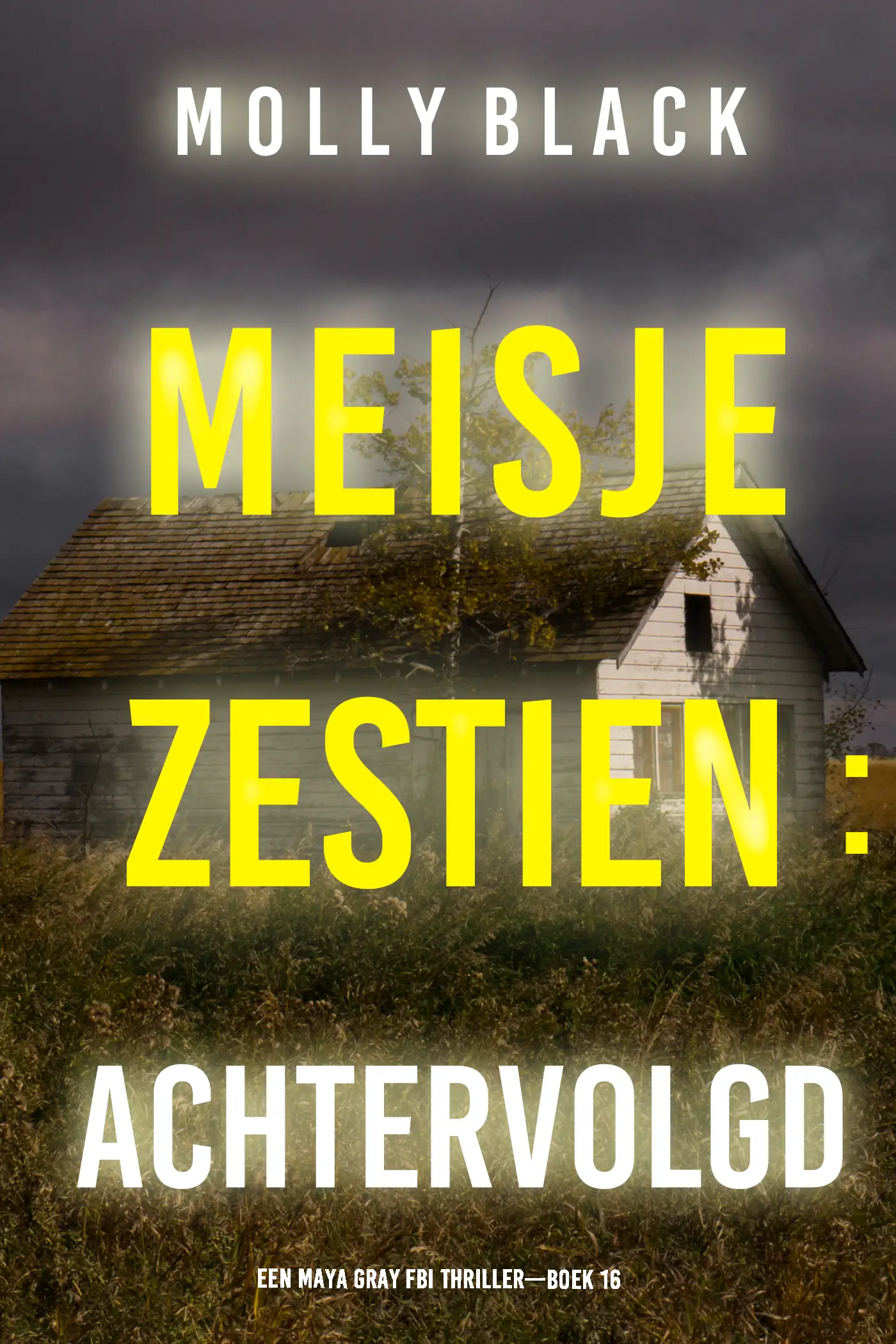 Meisje Zestien: Achtervolgd (Een Maya Gray FBI Thriller—Boek 16)
