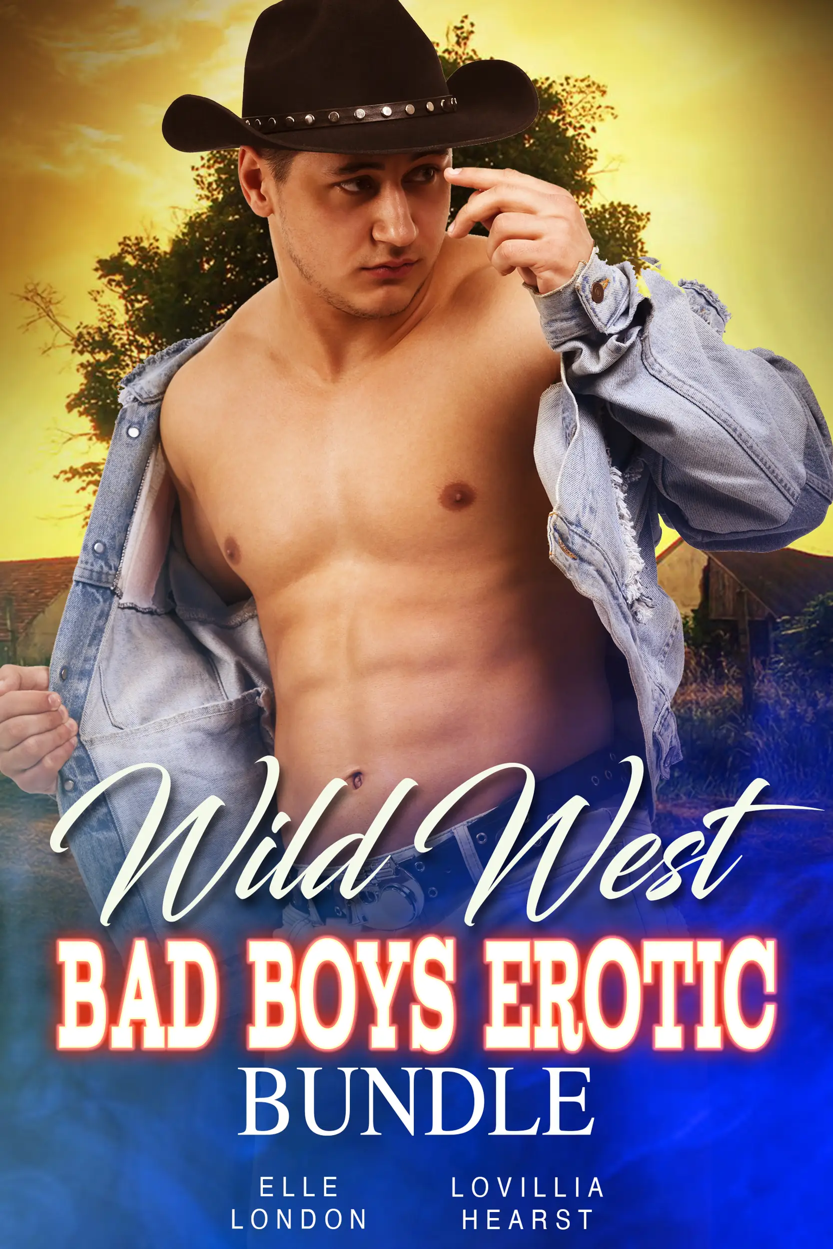 Wild West Bad Boys Erotic Bundle