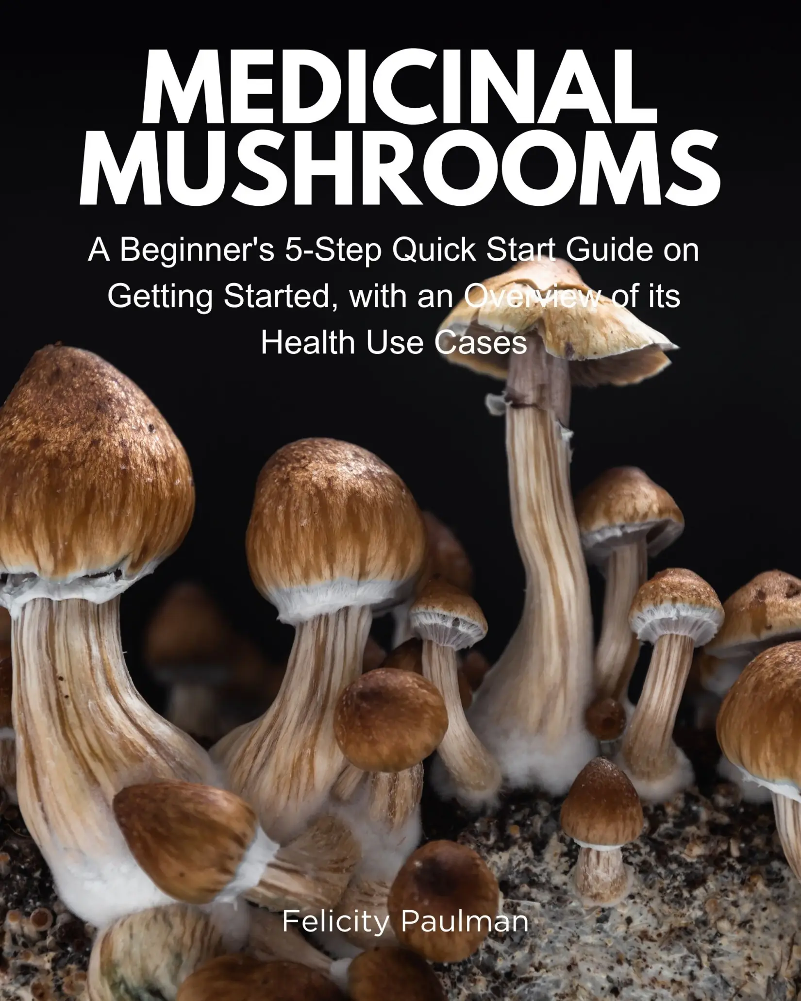 Medicinal Mushrooms