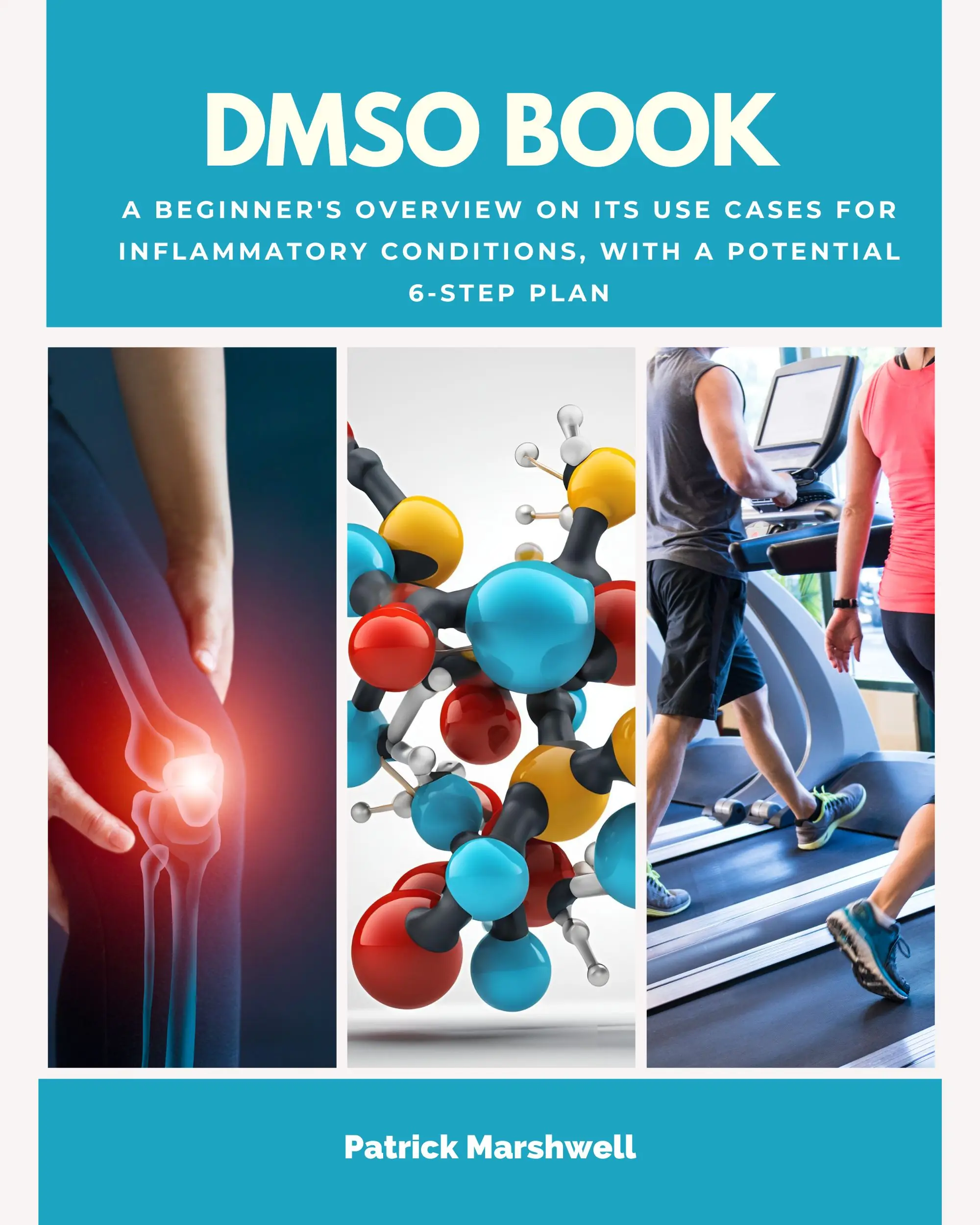 DMSO Book