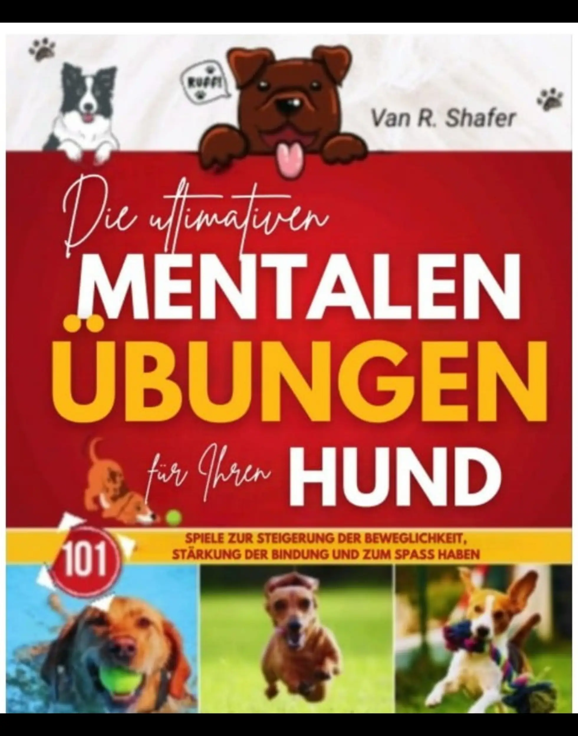 Die ultimativen mentalen Übungen für Ihren Hund
