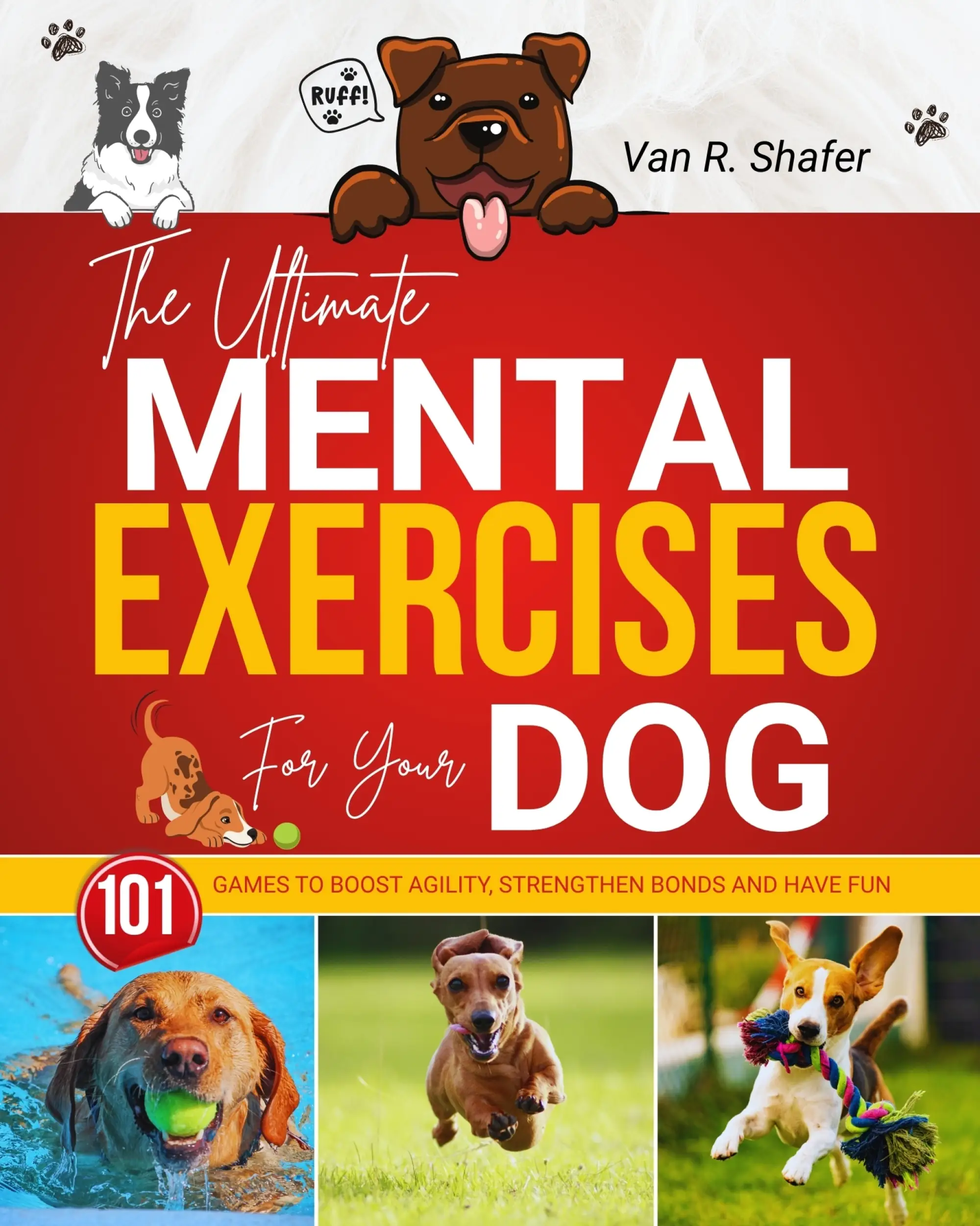 The Ultimate Mental Exercises for Your Dog