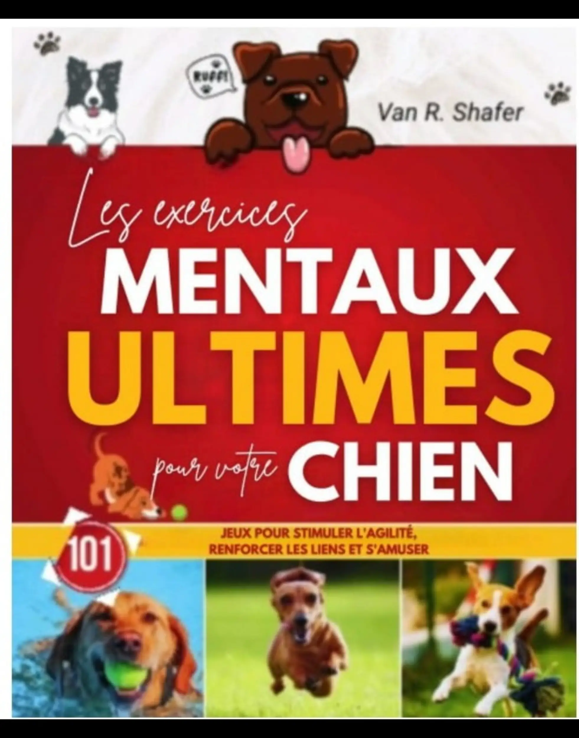Les exercices mentaux ultimes pour votre chien