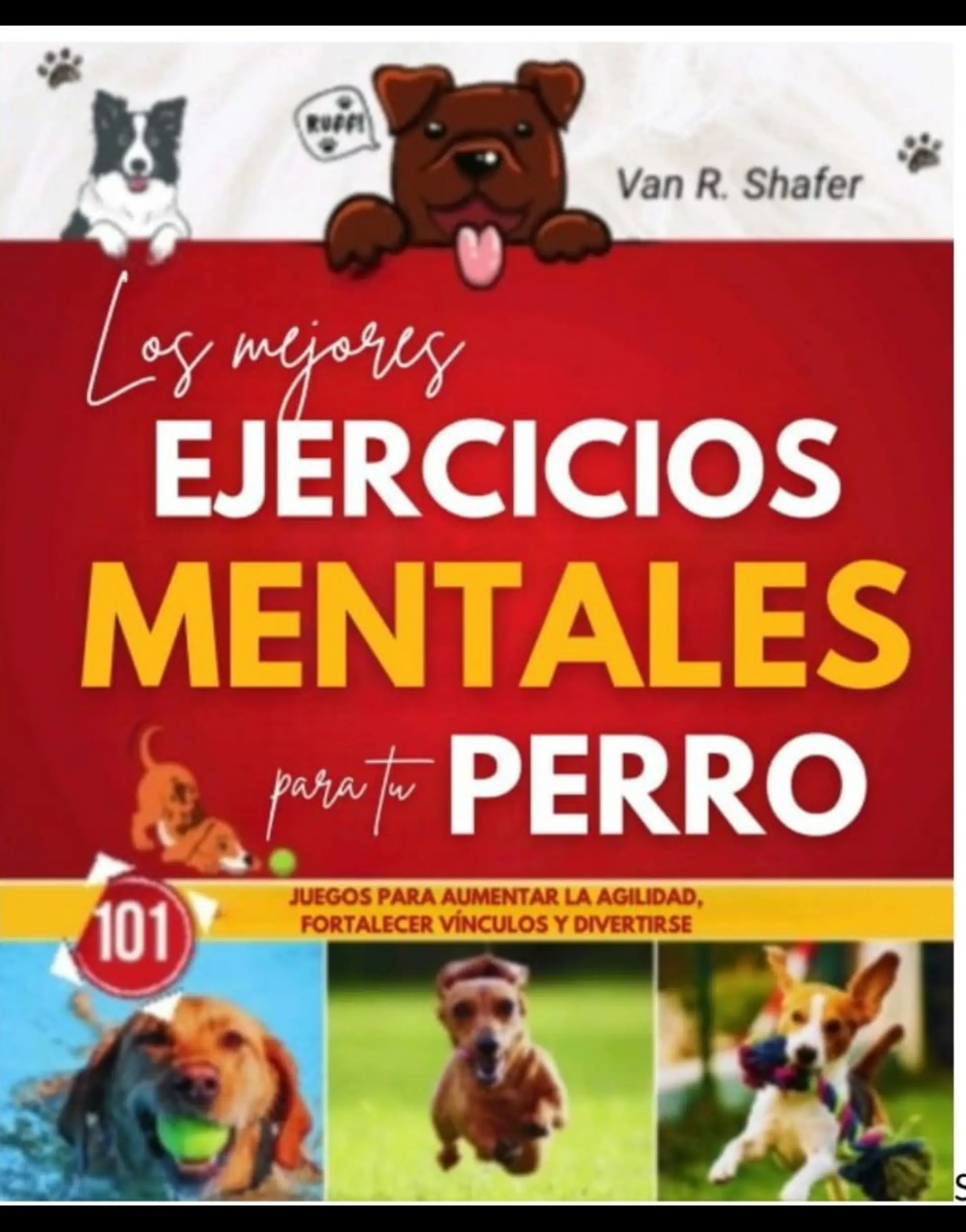 Los mejores ejercicios mentales para tu perro