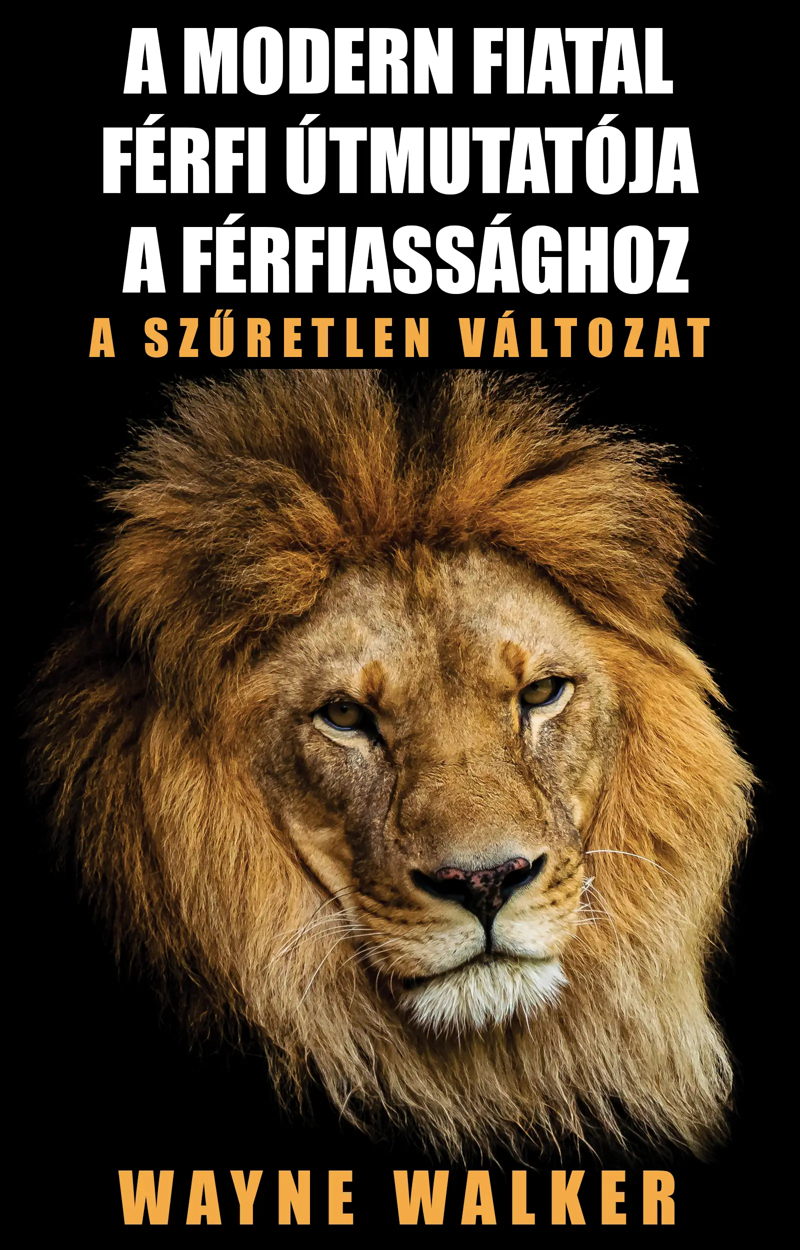 A modern fiatal férfi útmutatója a férfiassághoz