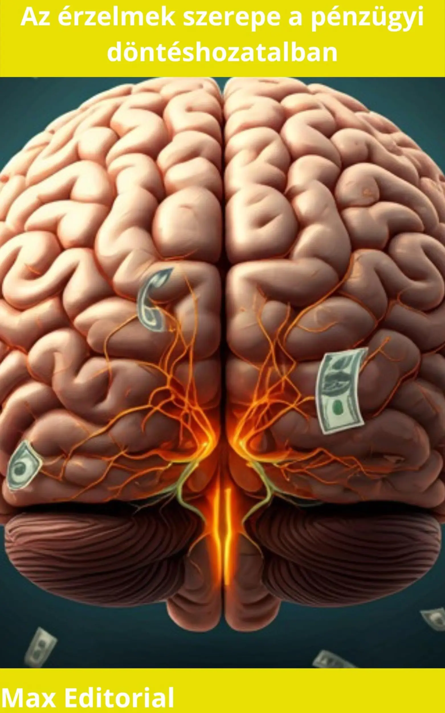 Az érzelmek szerepe a pénzügyi döntéshozatalban