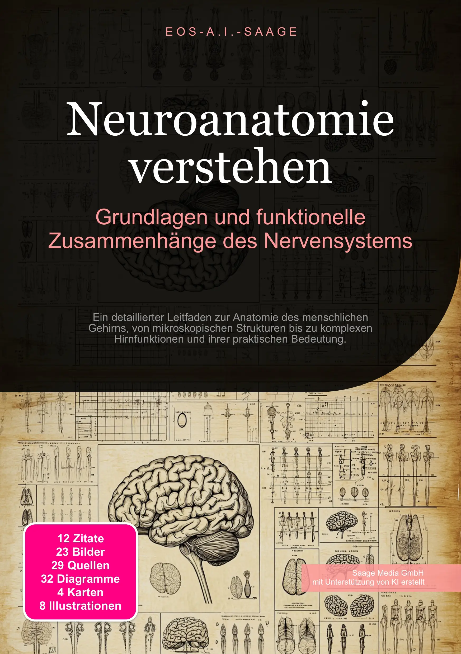 Neuroanatomie verstehen